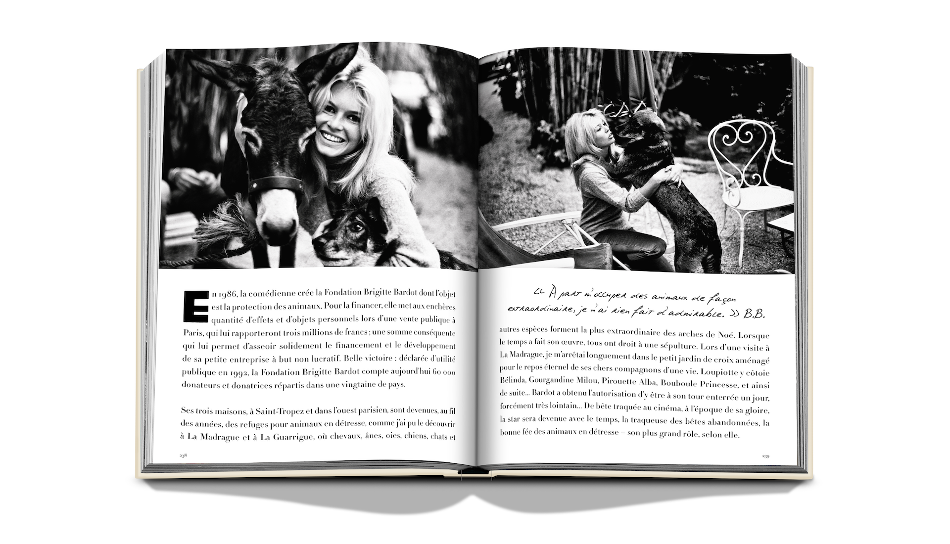 BRIGITTE BARDOT x Floworks_9.png