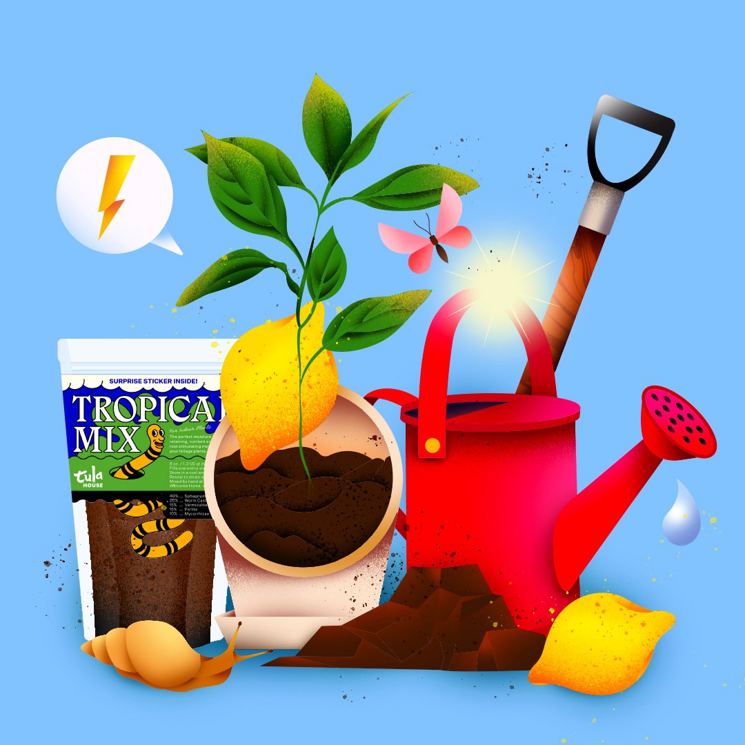 Tula x Plants_Gardening Part 2_Floworks.jpg