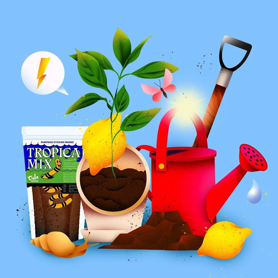 🪴🍋 thinking of ideas for next summer plants @tulahouse 
&bull;
&bull;
#lemon #gardening #illustrator #illustration #graphicdesign #digitalillustration #illustrationoftheday #vector #texture #gardening #colorfulart #jardin #brooklyngarden #plant #pl