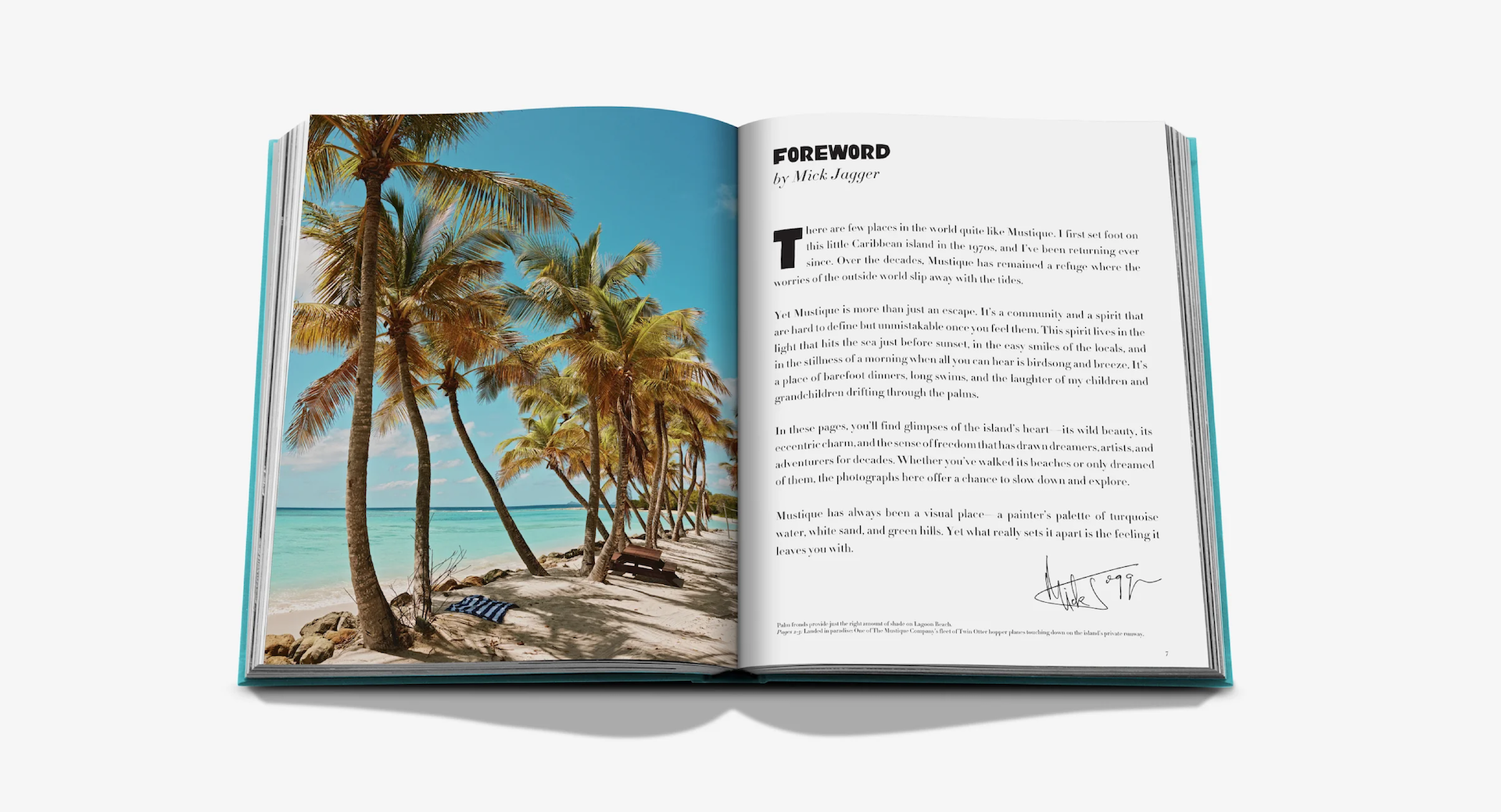 Mustique Icon x Floworks5.png