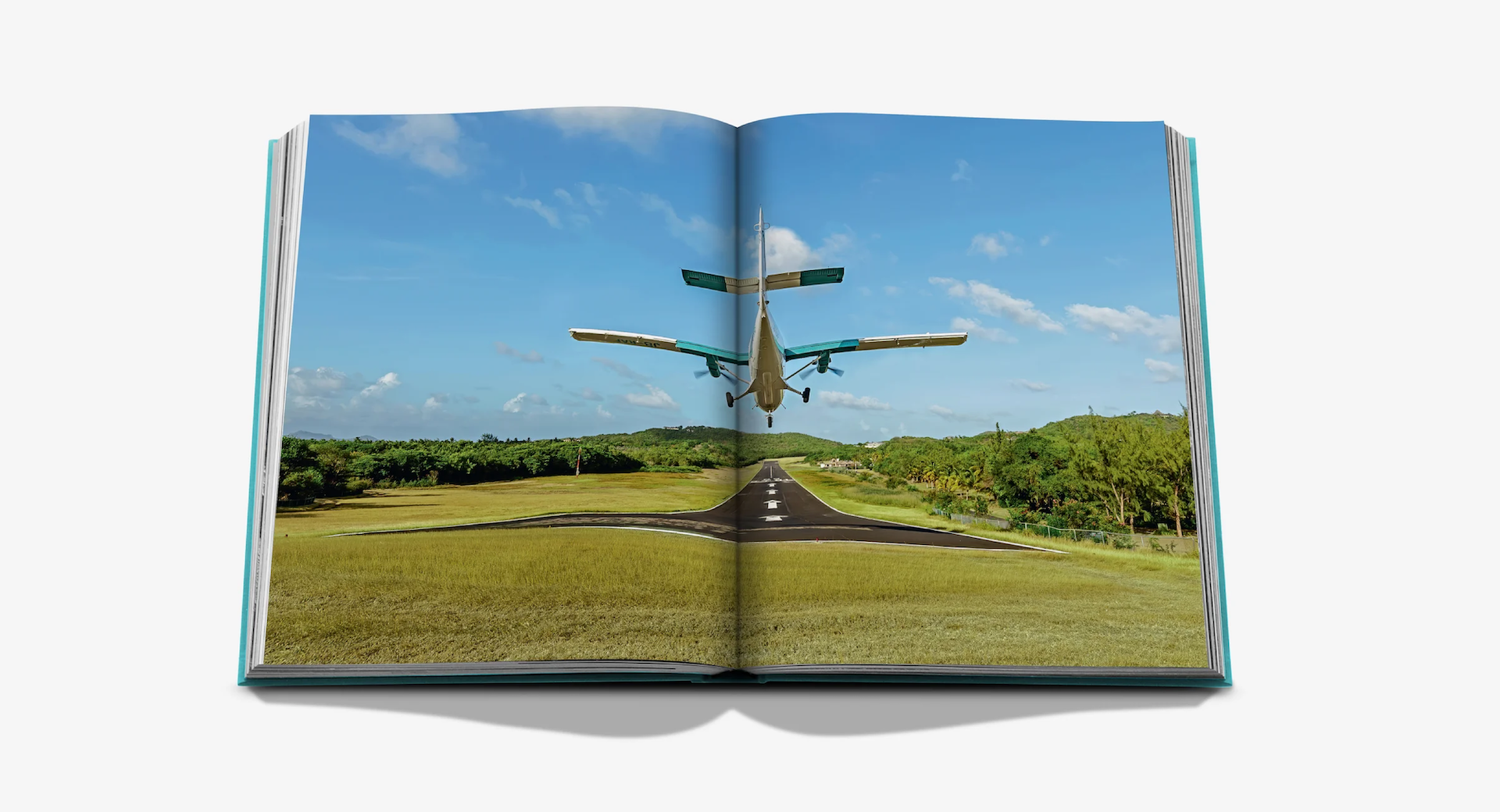 Mustique Icon x Floworks6.png