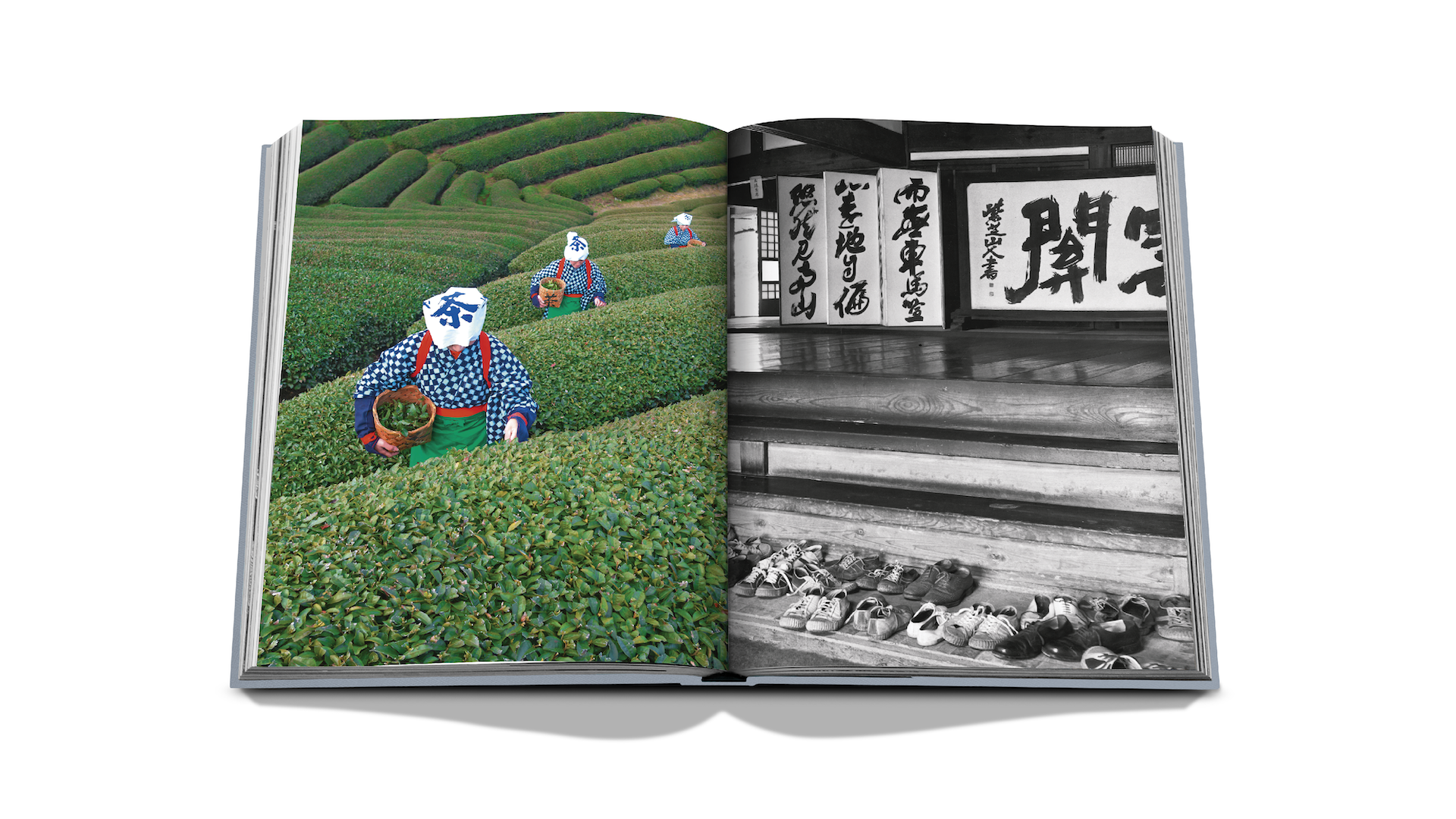 Kyoto x Floworks8.png