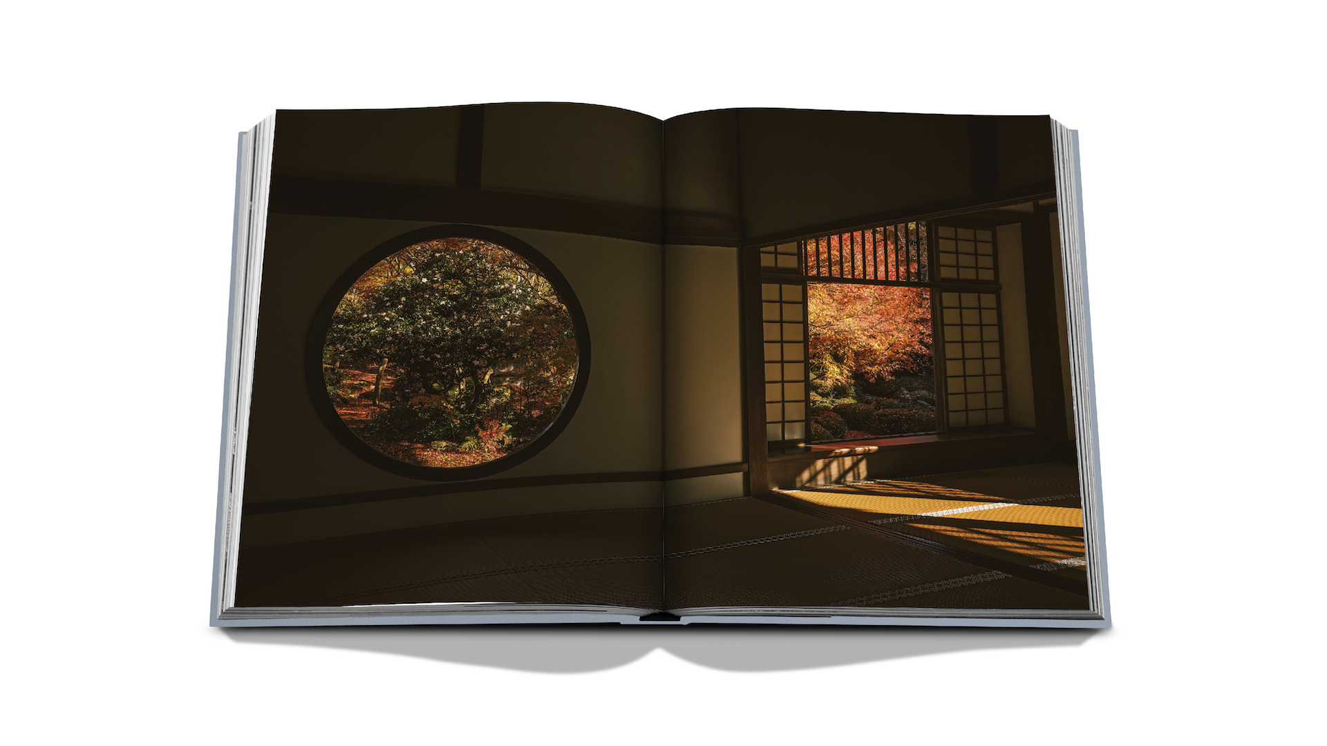 Kyoto x Floworks24.png