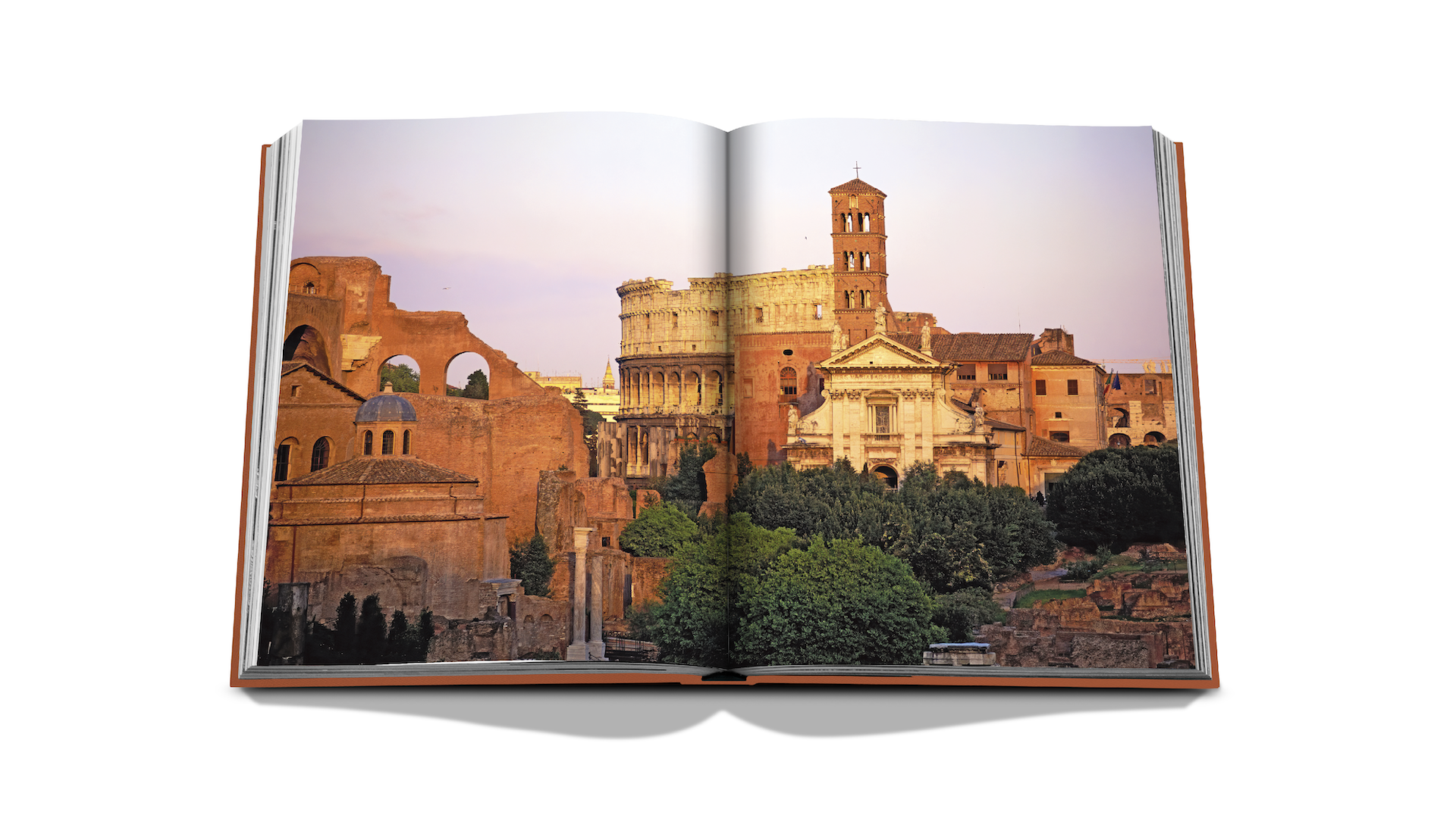 ROMA x Floworks5.png