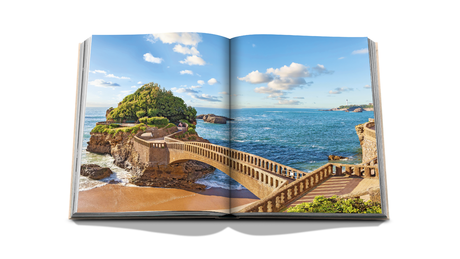 Biarritz x Floworks4.png