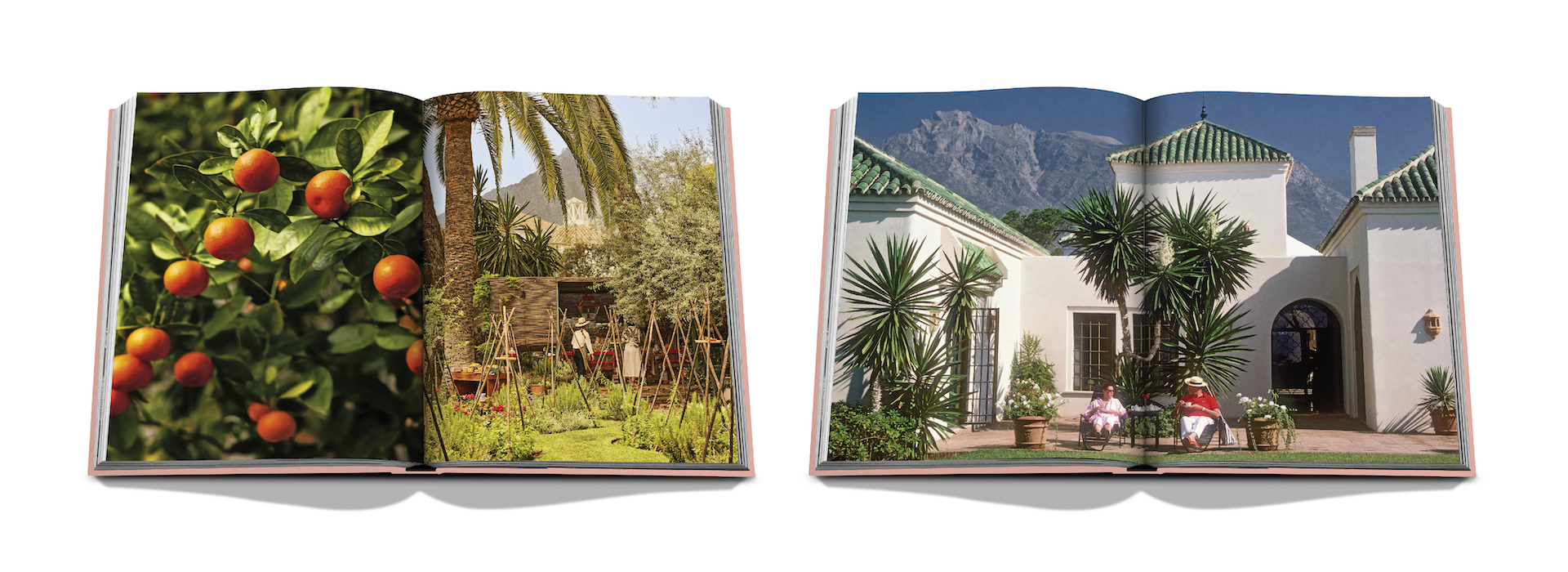 Marbella x Floworks9.png