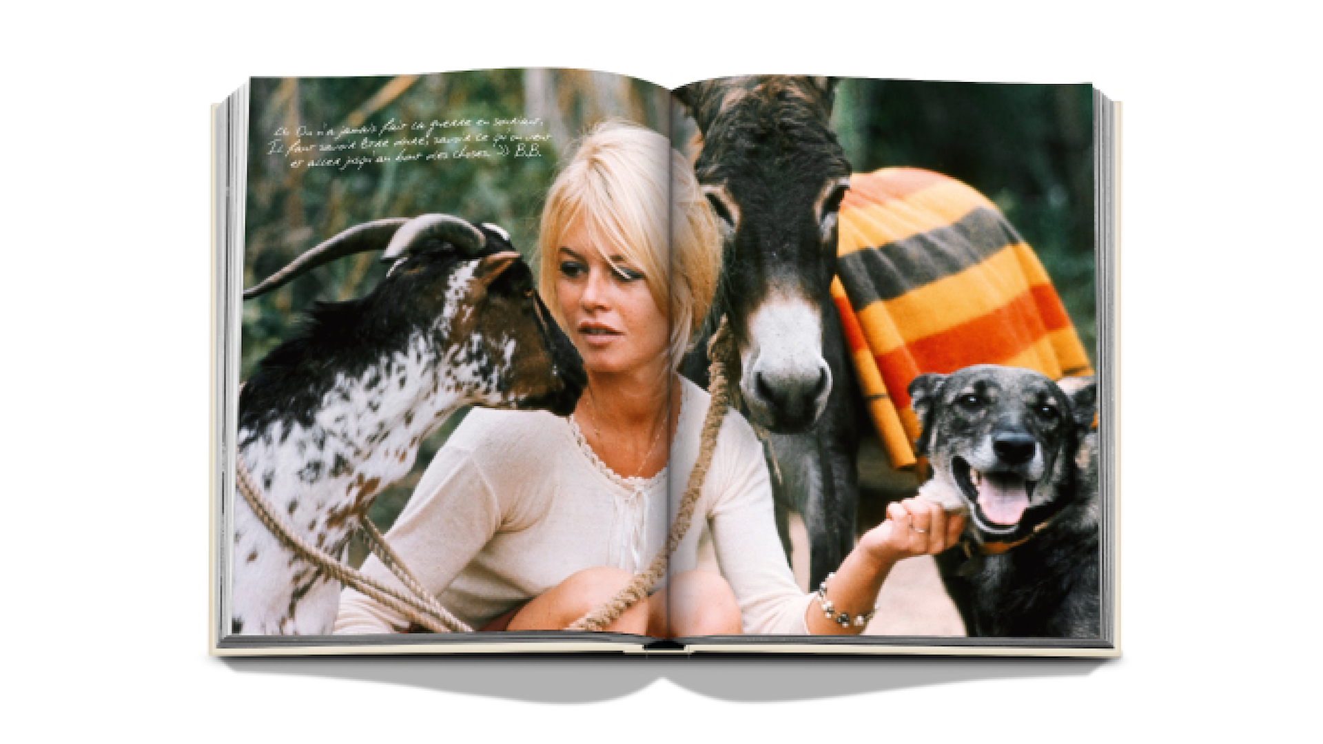 BBardot x Floworks10.png