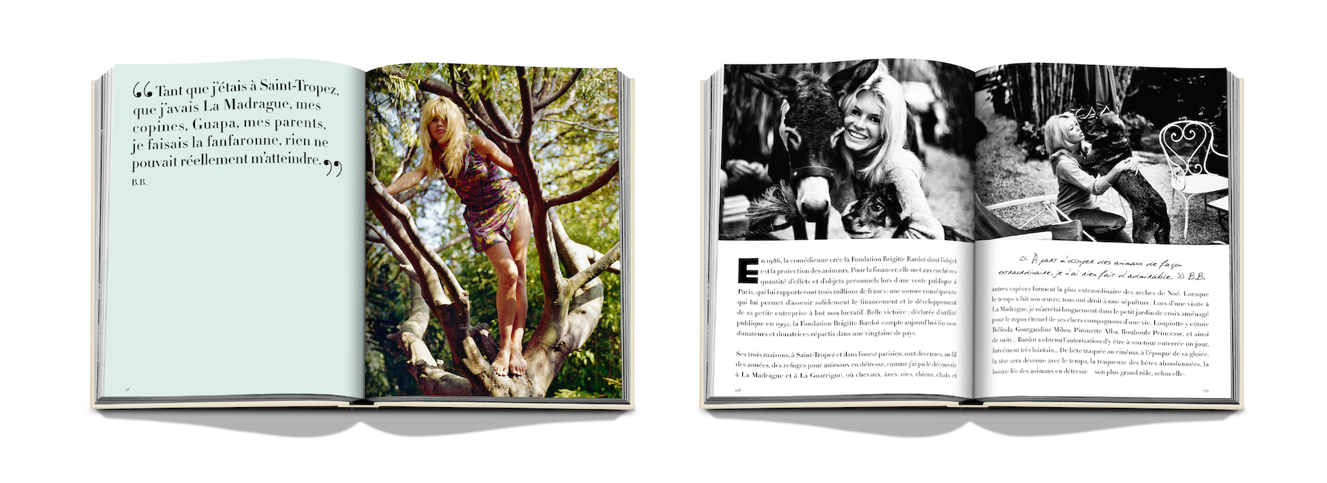 BBardot x Floworks12.png