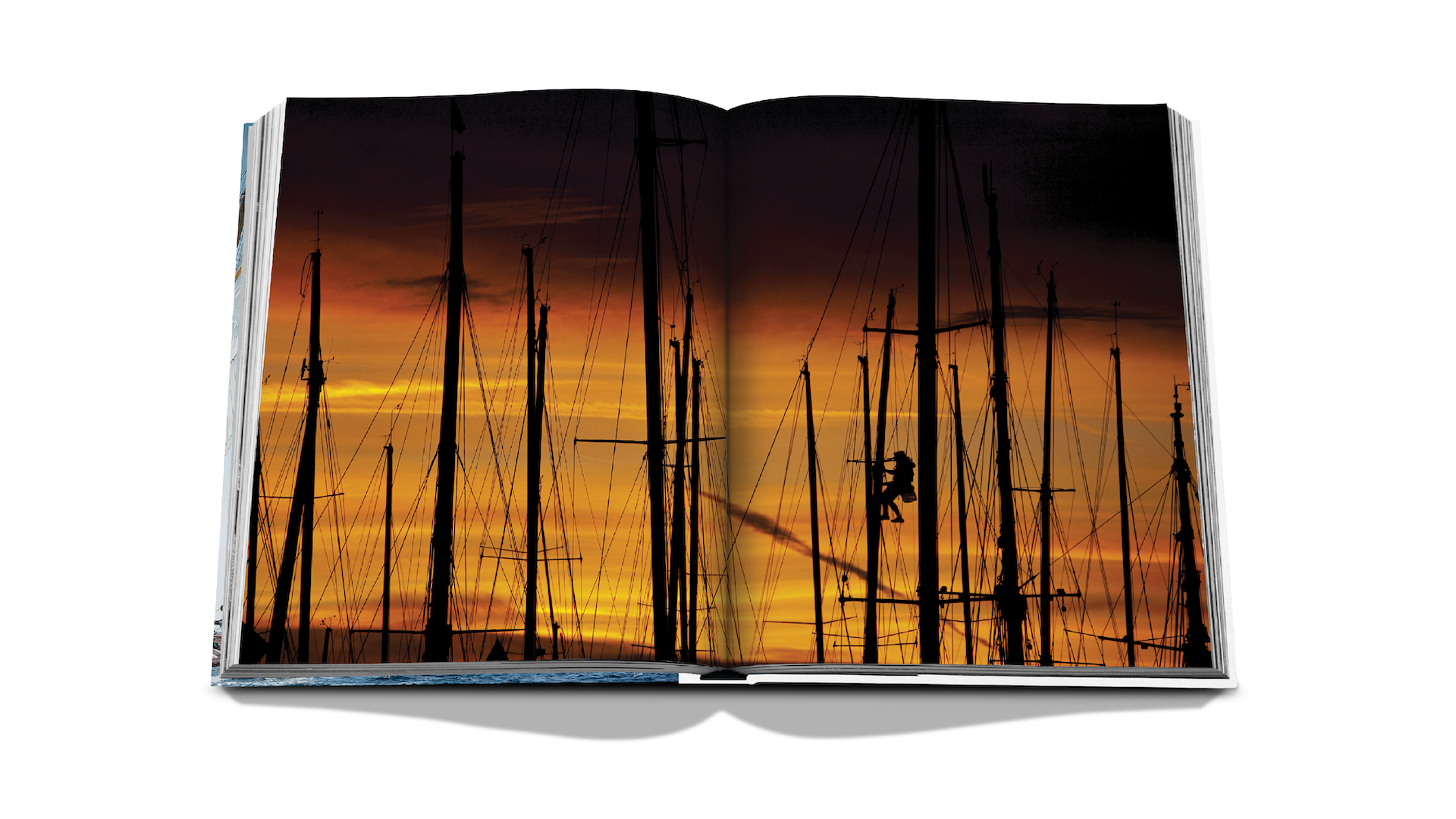 STY x Floworks20.png