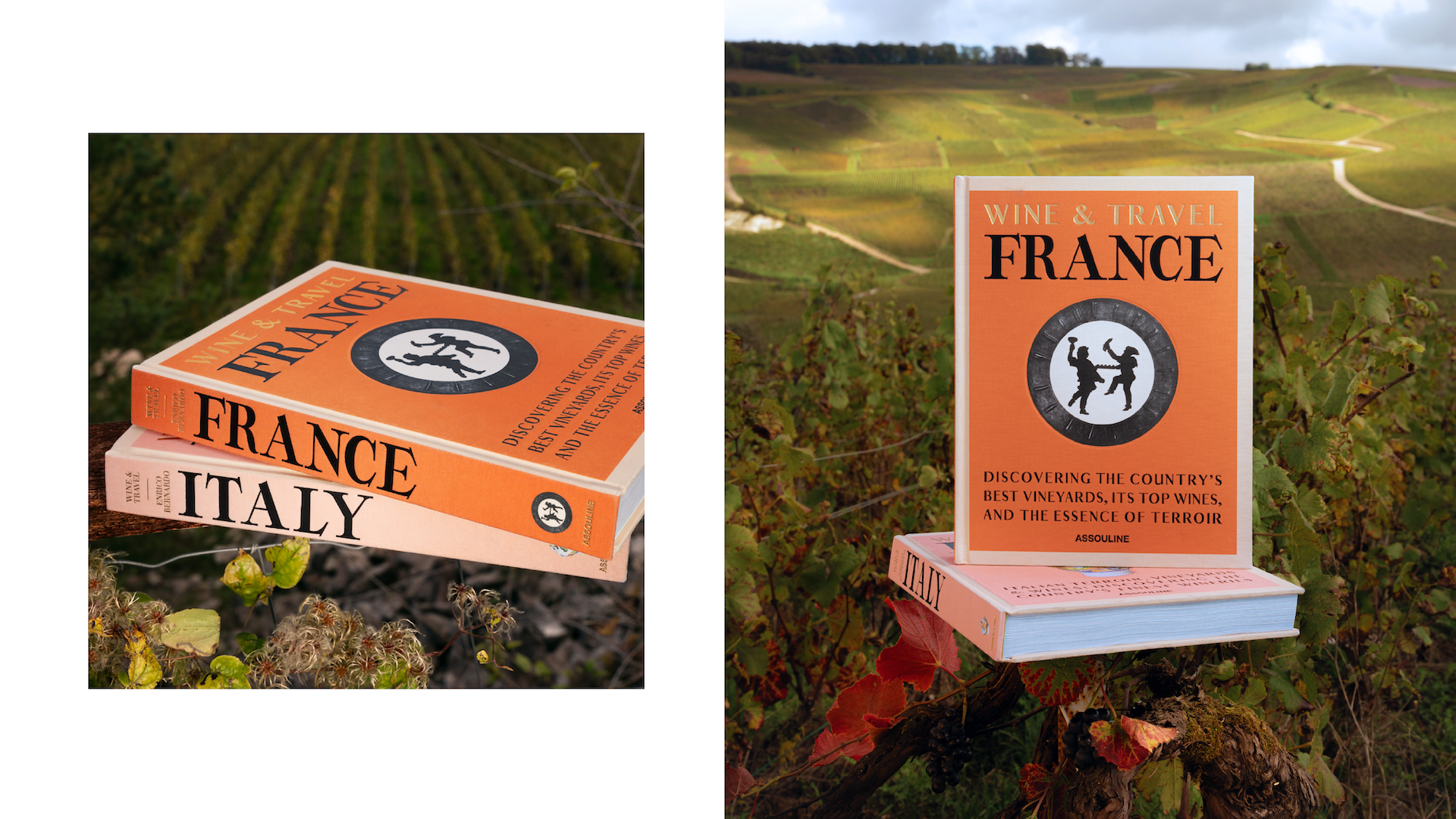WT FRANCE x Floworks5.png