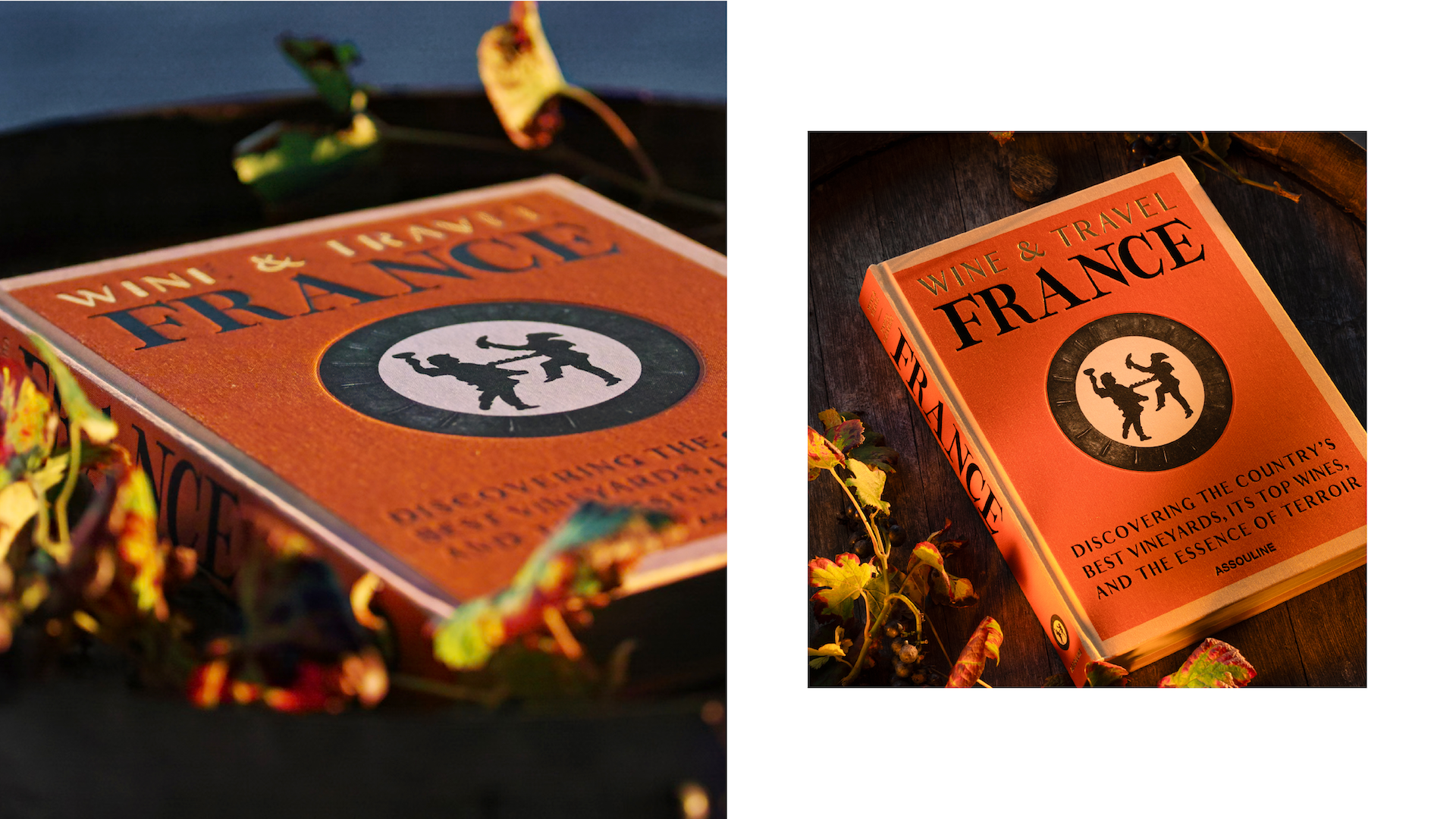 WT FRANCE x Floworks16.png