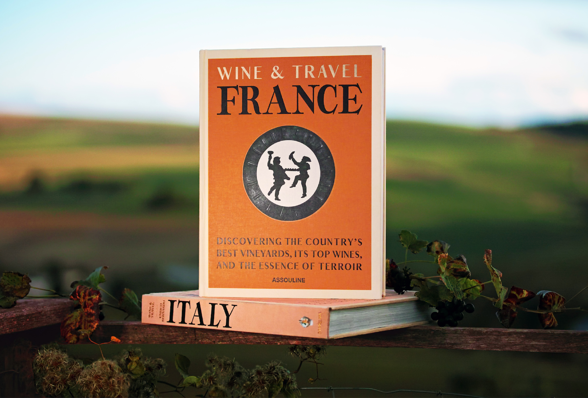 WT FRANCE x Floworks25.png
