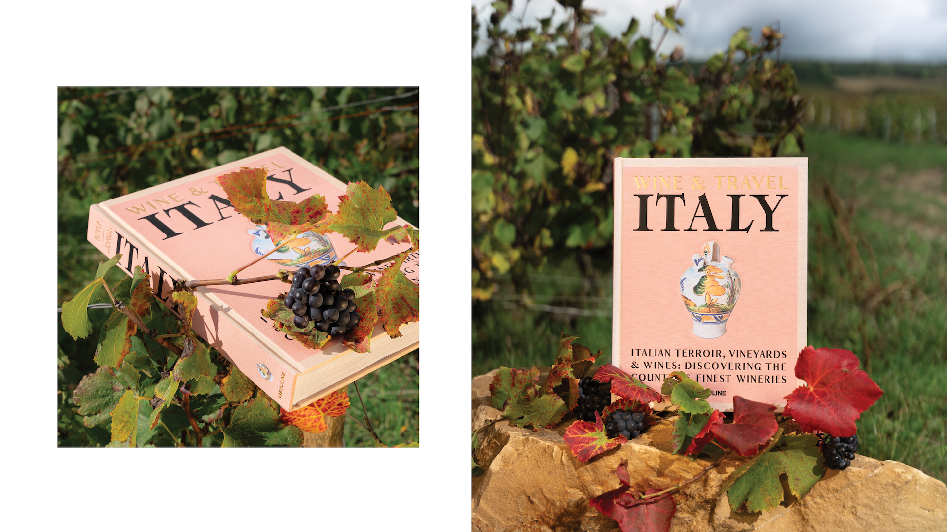 WT ITALY x Floworks4.png