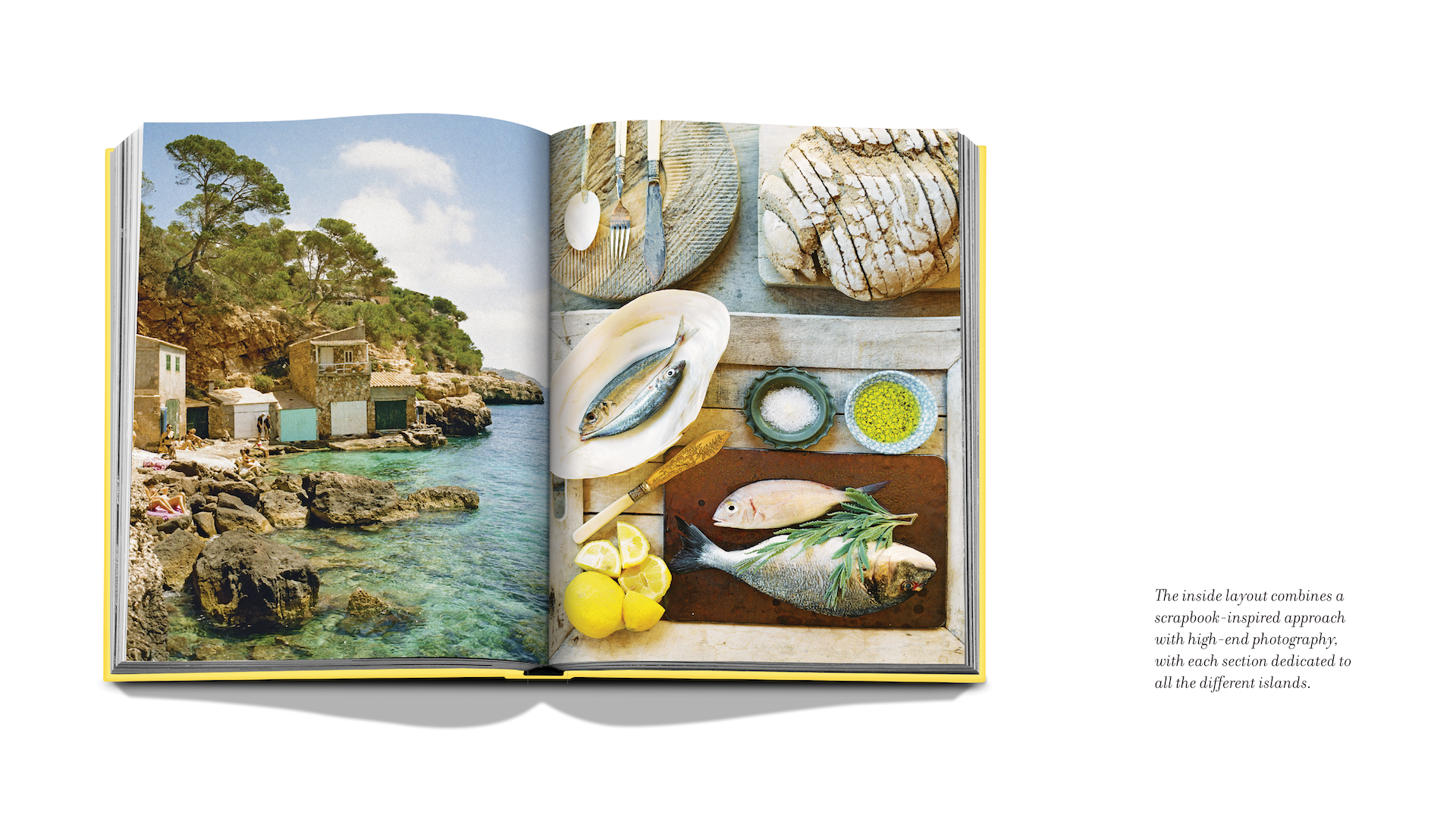 WT MED ISLANDSx Floworks8.png
