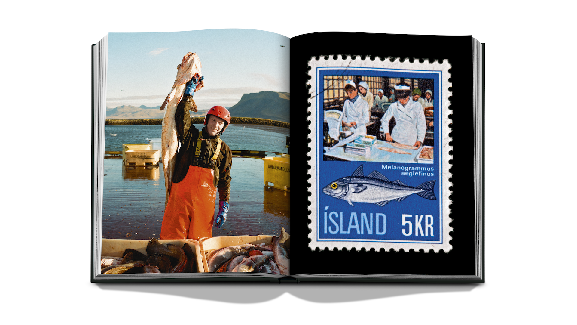 ICELAND x Floworks12.png