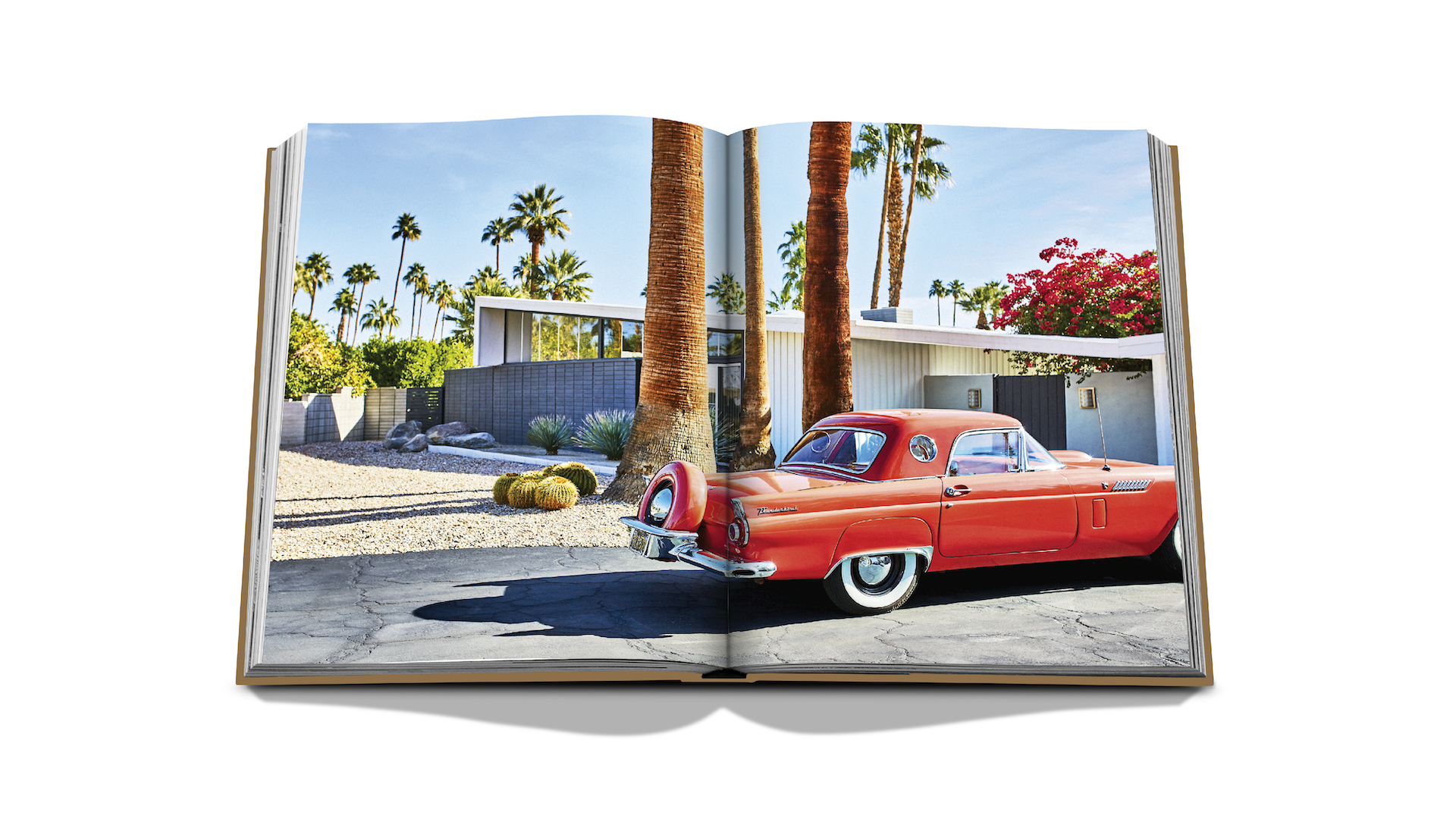 PALM SPRINGS x Floworks10.png