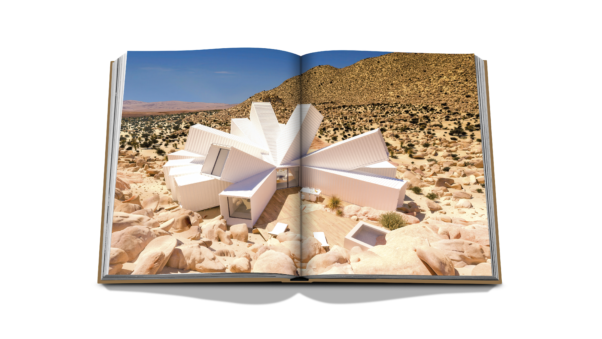 PALM SPRINGS x Floworks12.png