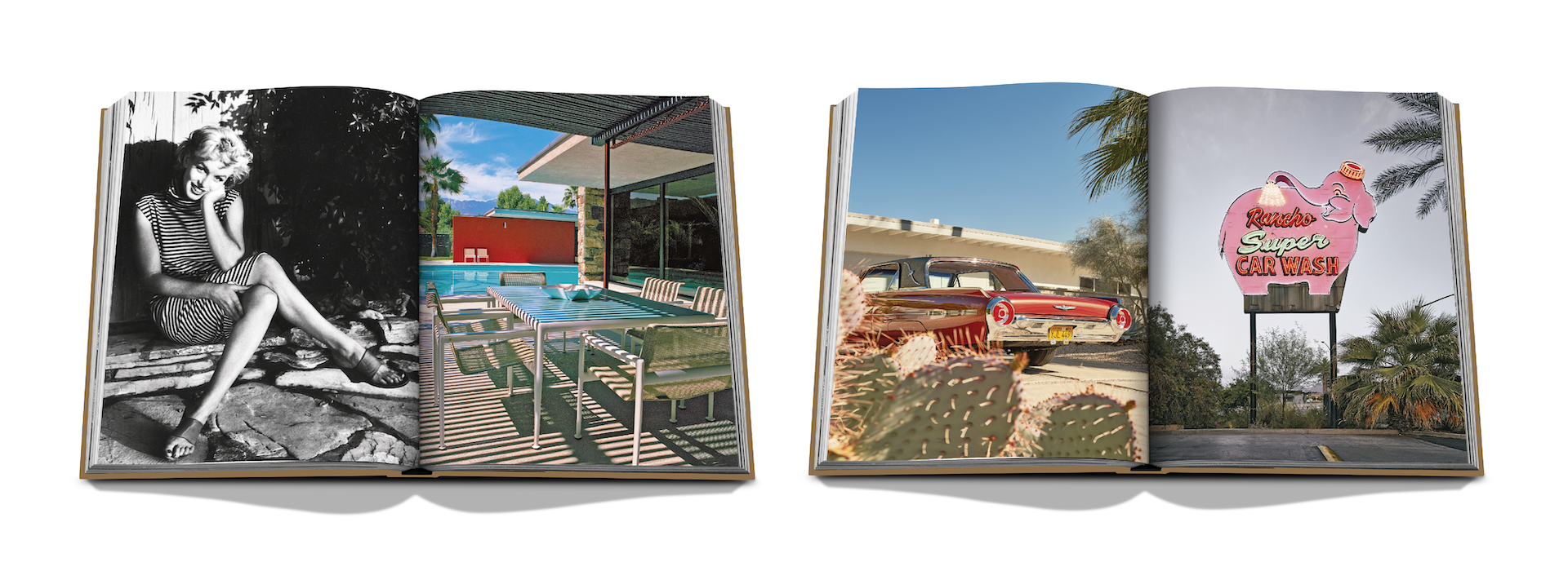 PALM SPRINGS x Floworks13.png