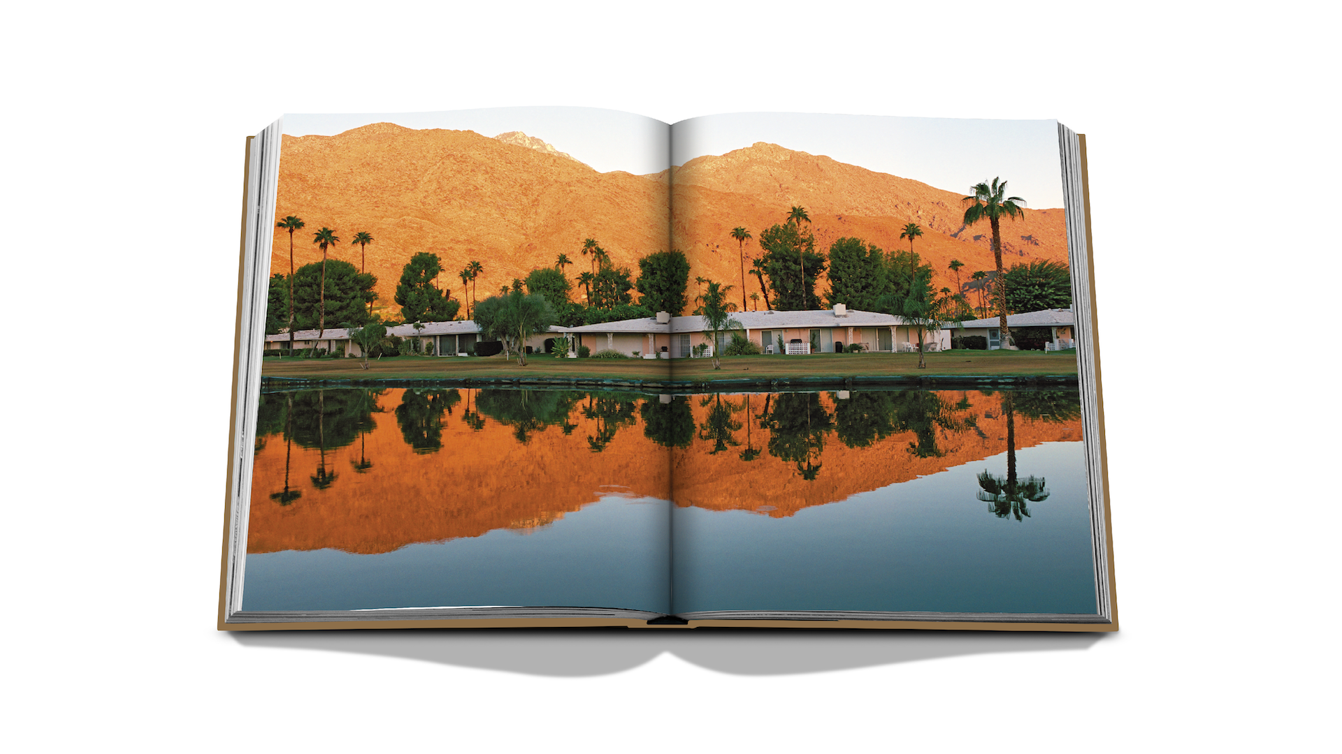 PALM SPRINGS x Floworks16.png