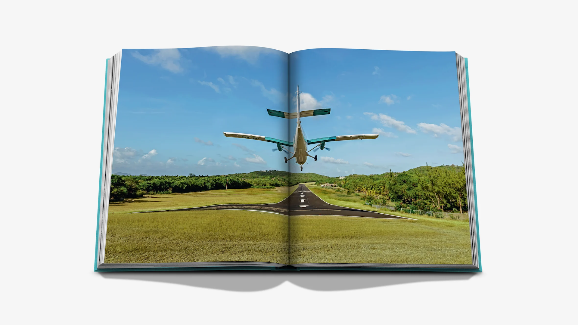 MUSTIQUE x Floworks8.png