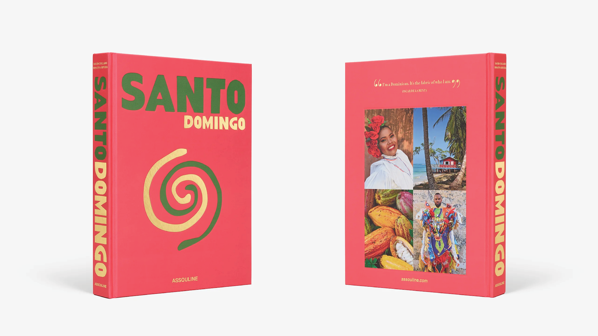 S DOMINGO x Floworks3.png