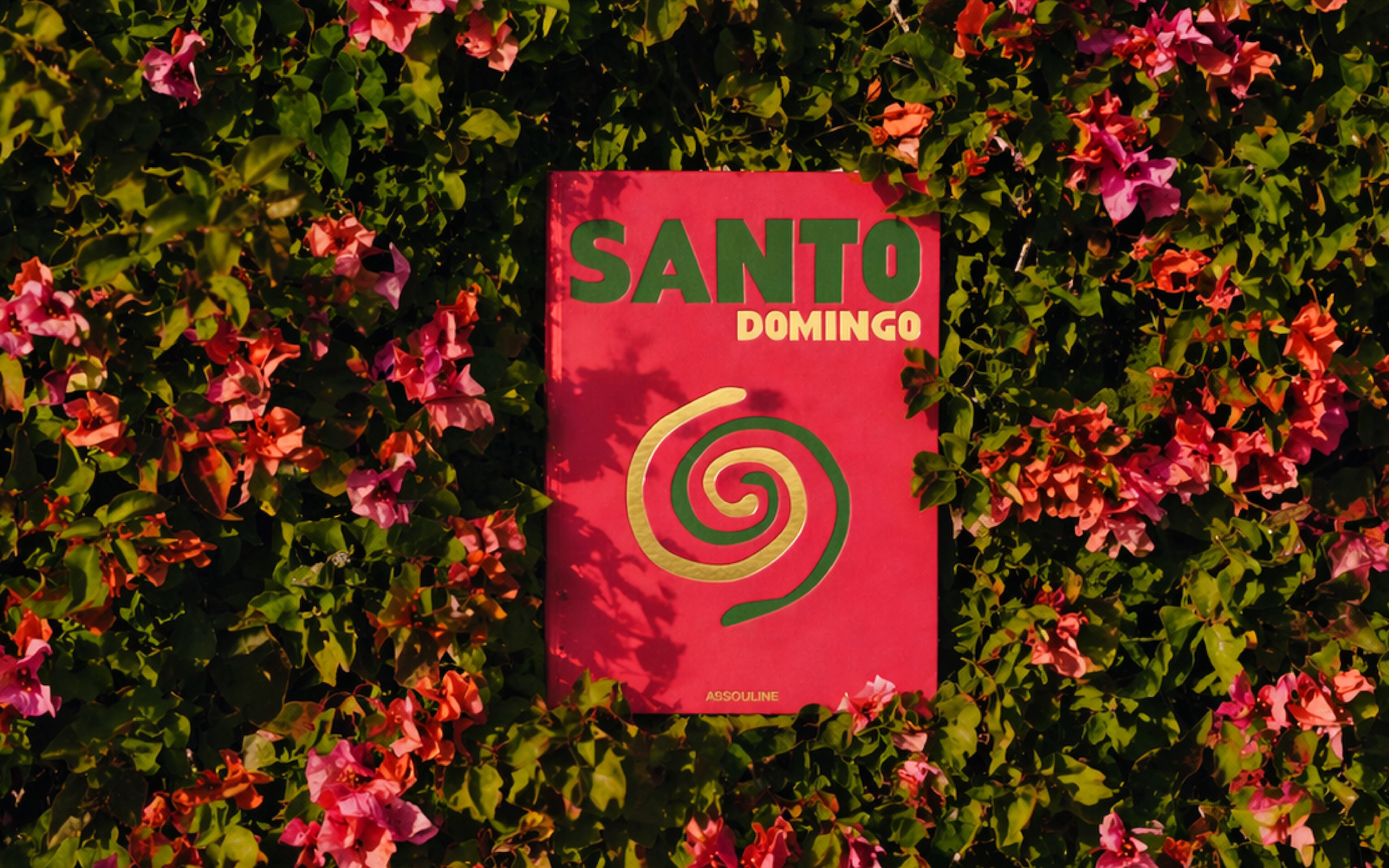 S DOMINGO x Floworks.png