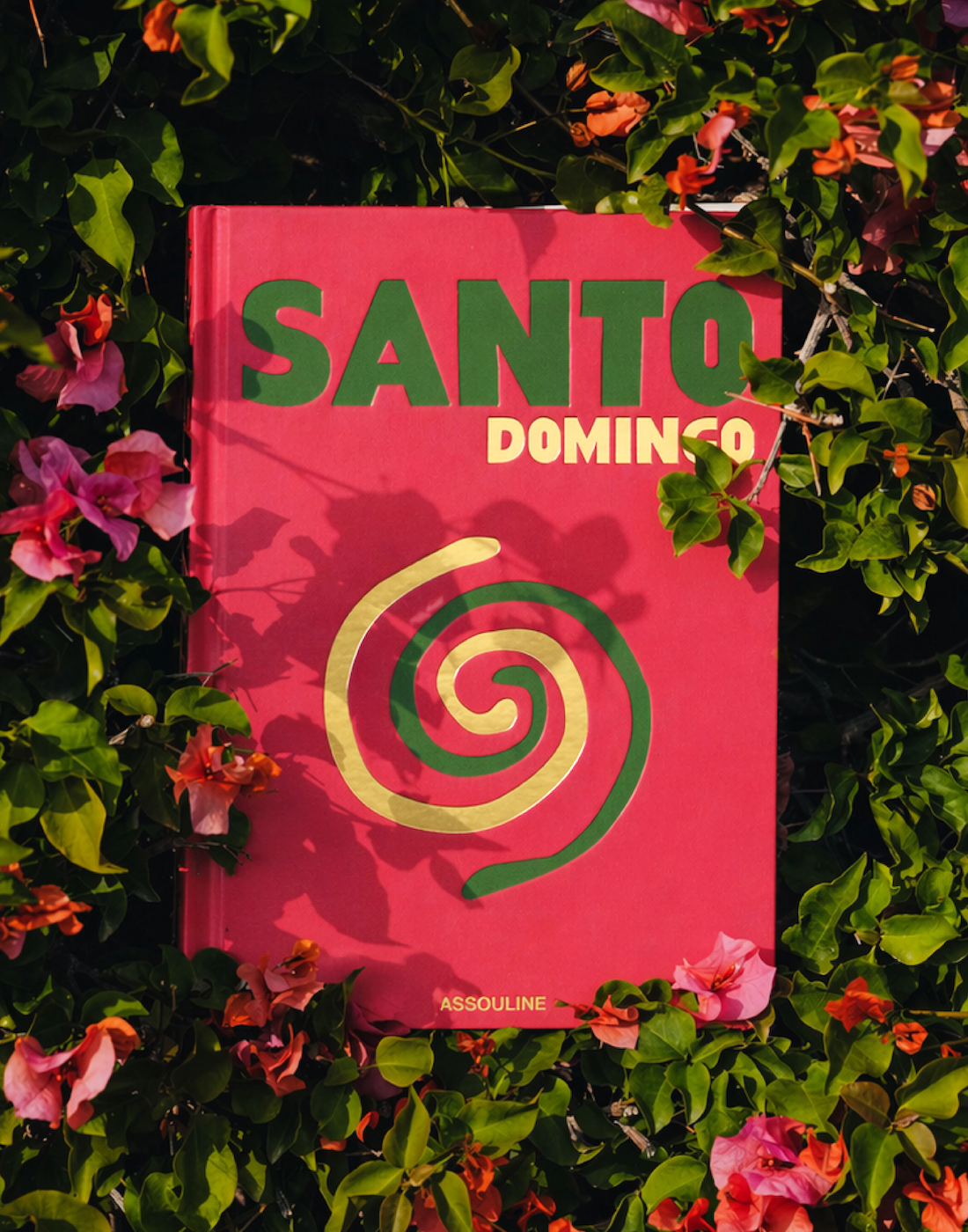S DOMINGO x Floworks18.png