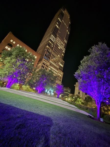 Public Square purple.jpg