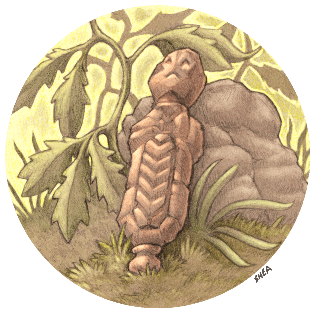 Woodfore Talisman for print.png