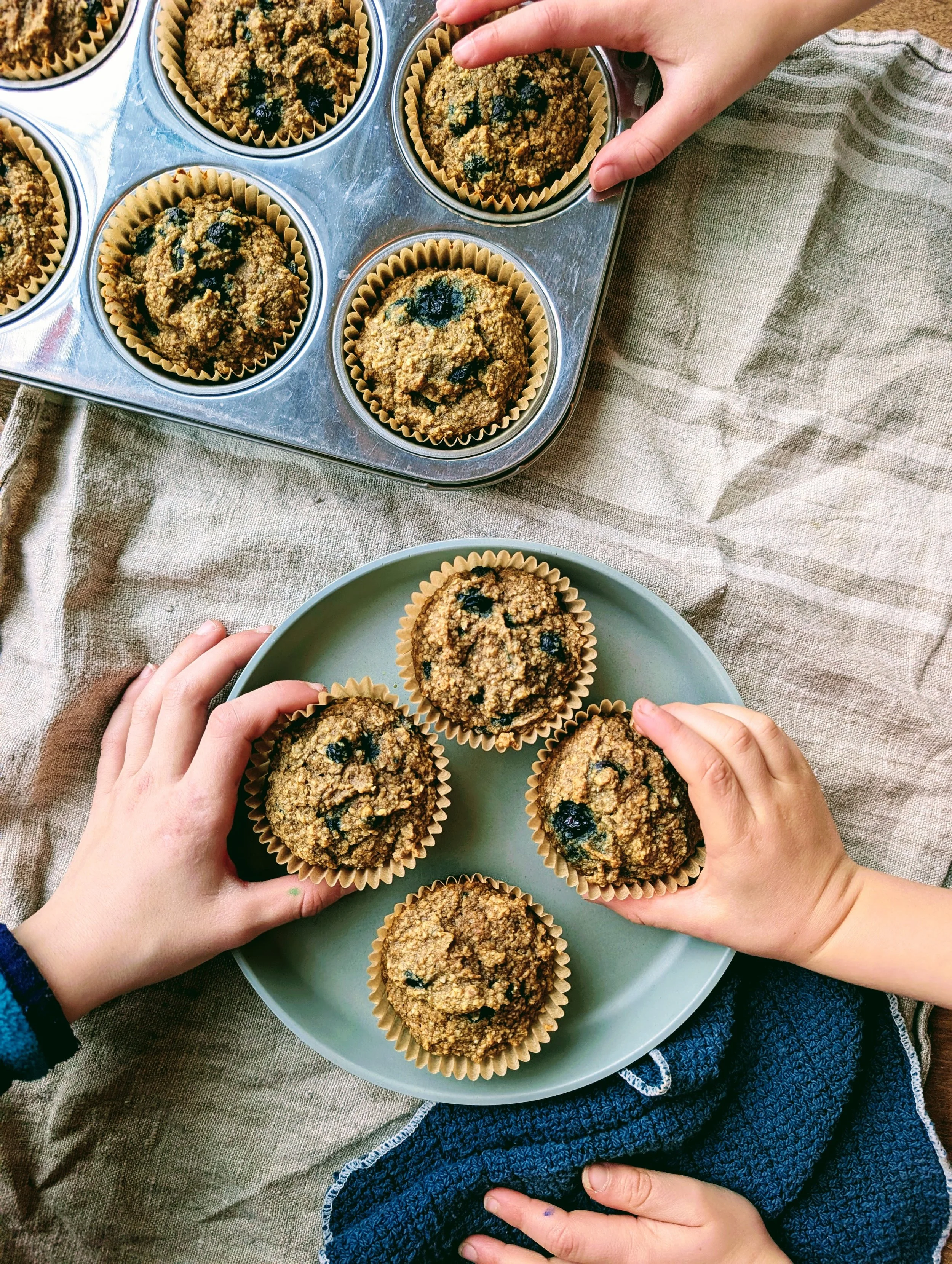 Summer Blueberry Muffins in Winter