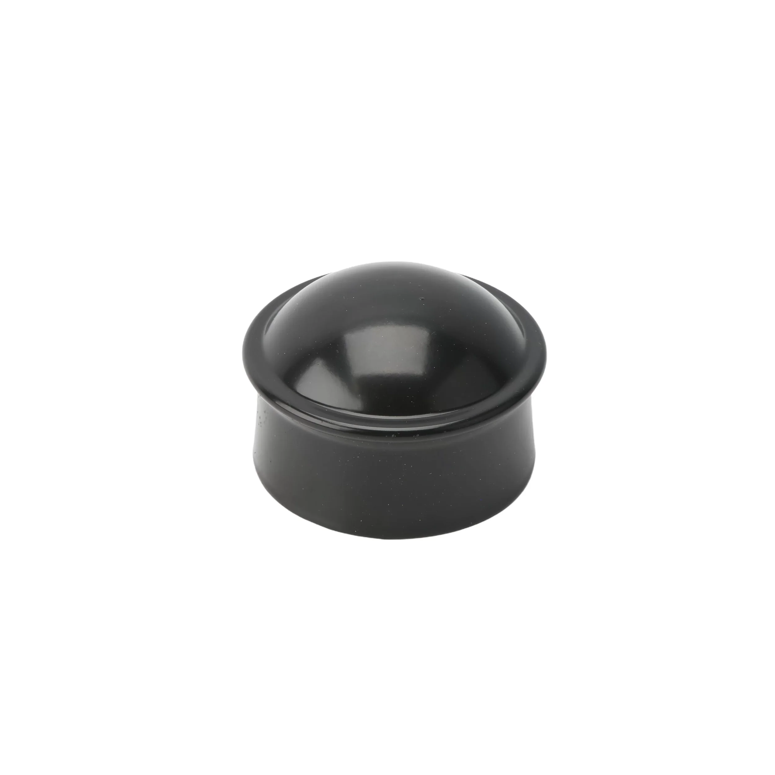 black dome.webp