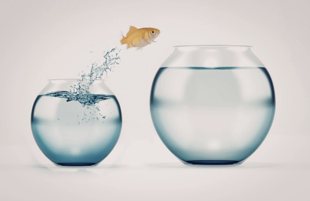 Reinvention Isn’t a Leap. It’s a Return.