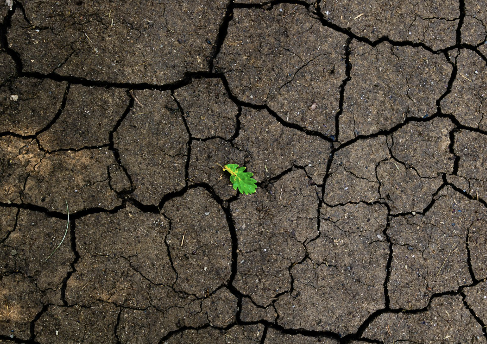 Let them struggle, watch them rise