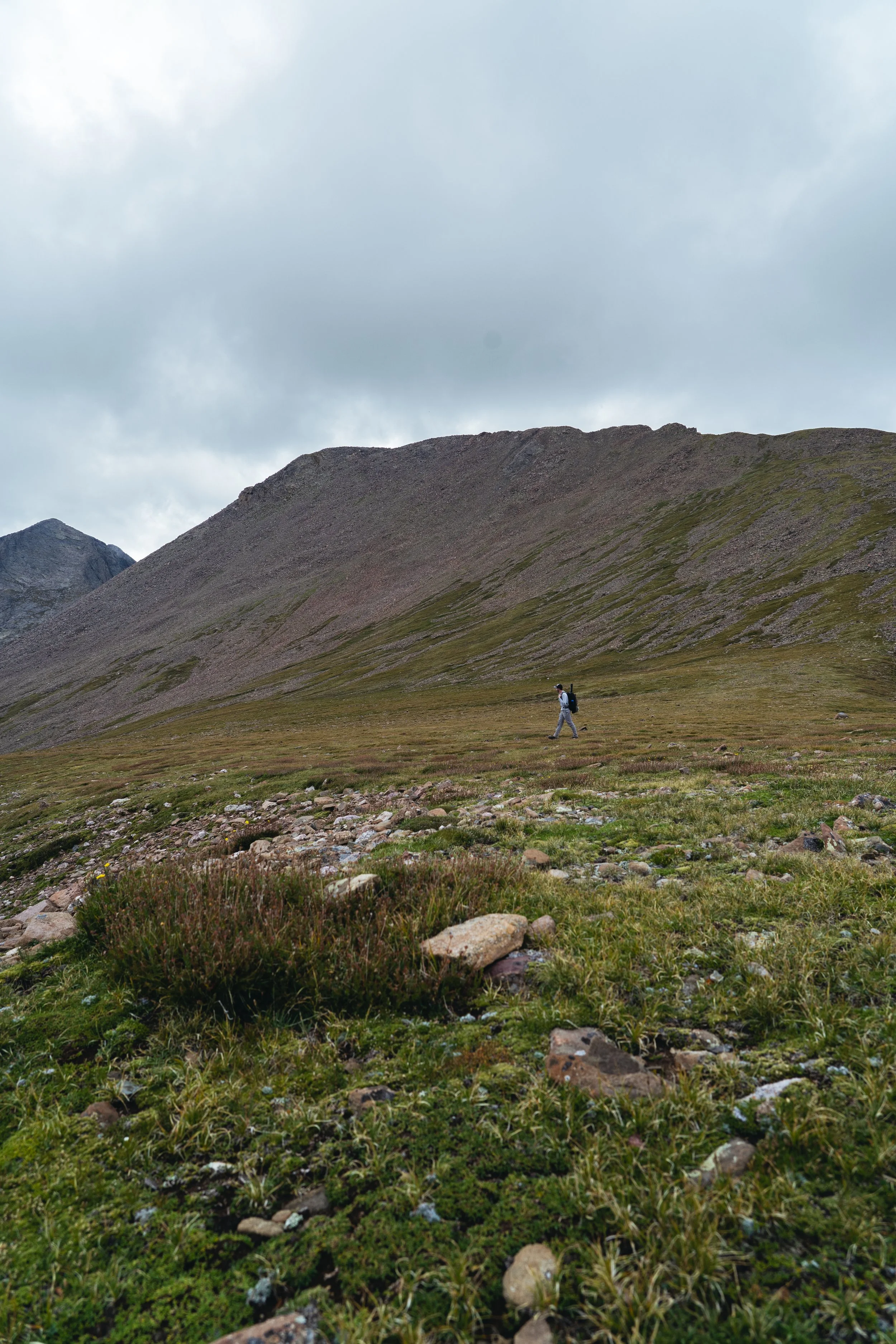 _DSC2713-1.jpg