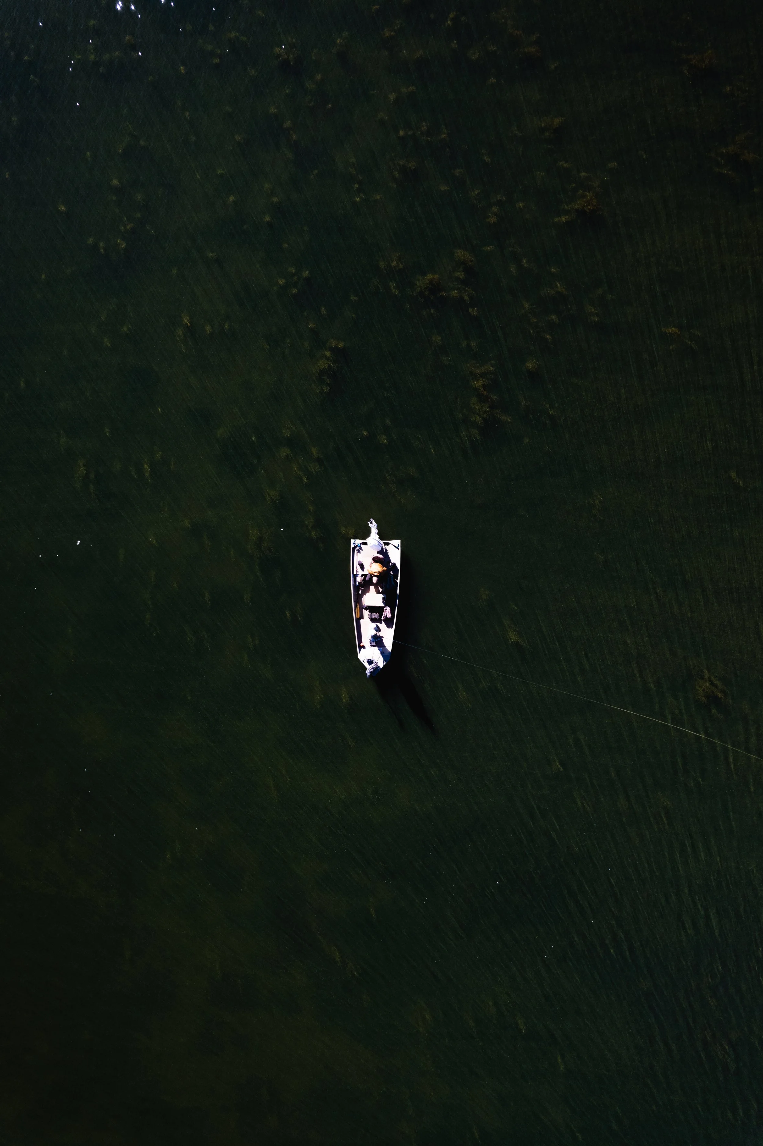 DJI_0050-1.jpg