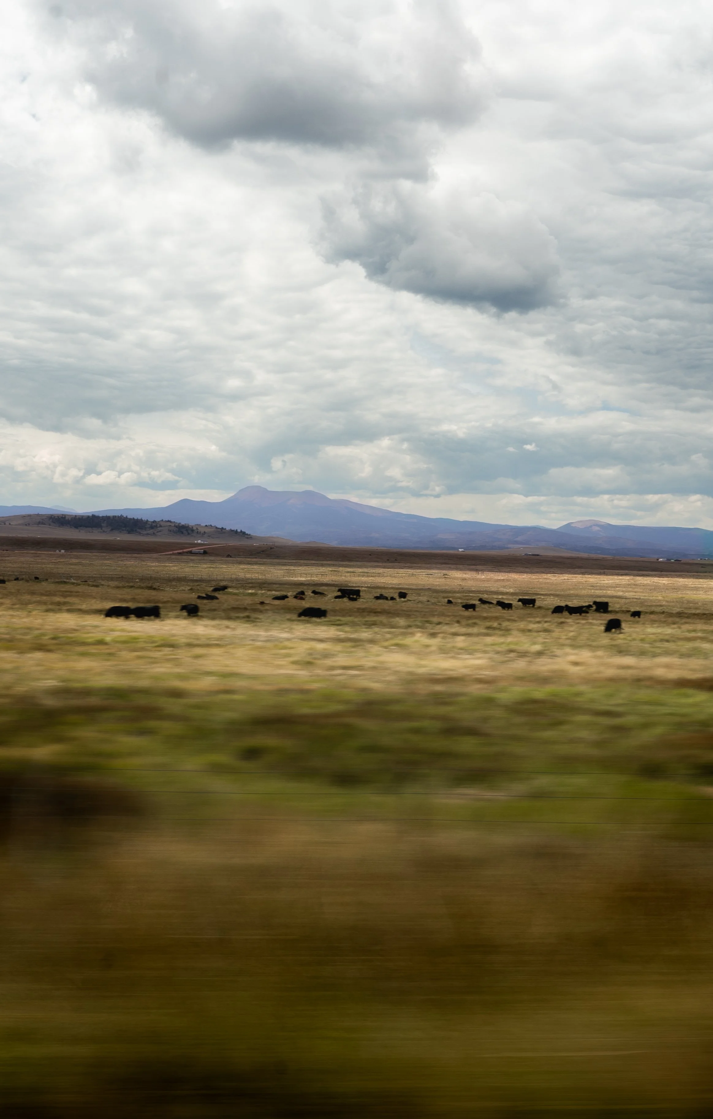 _DSC3041-1.jpg