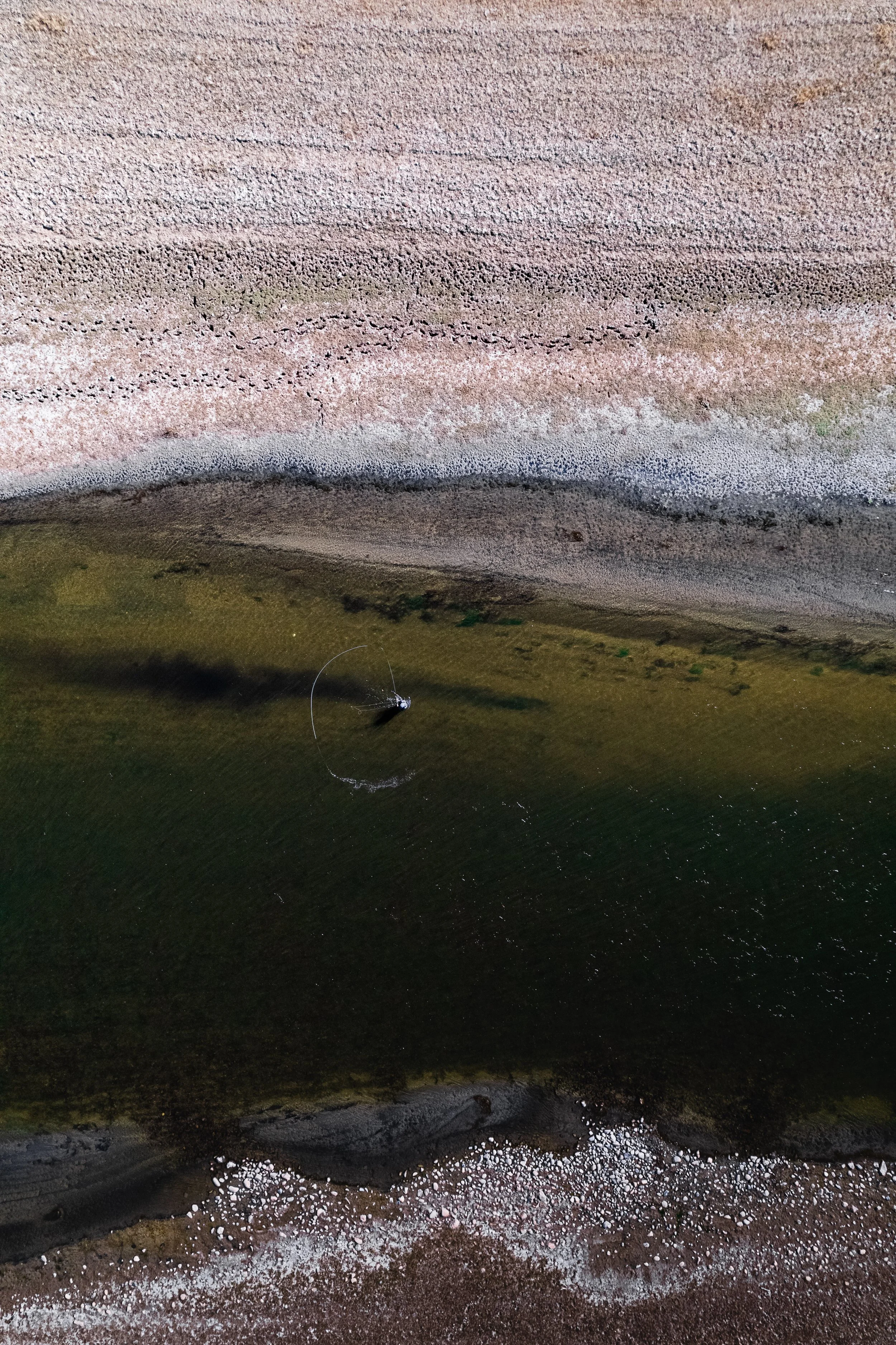 DJI_0006-1.jpg