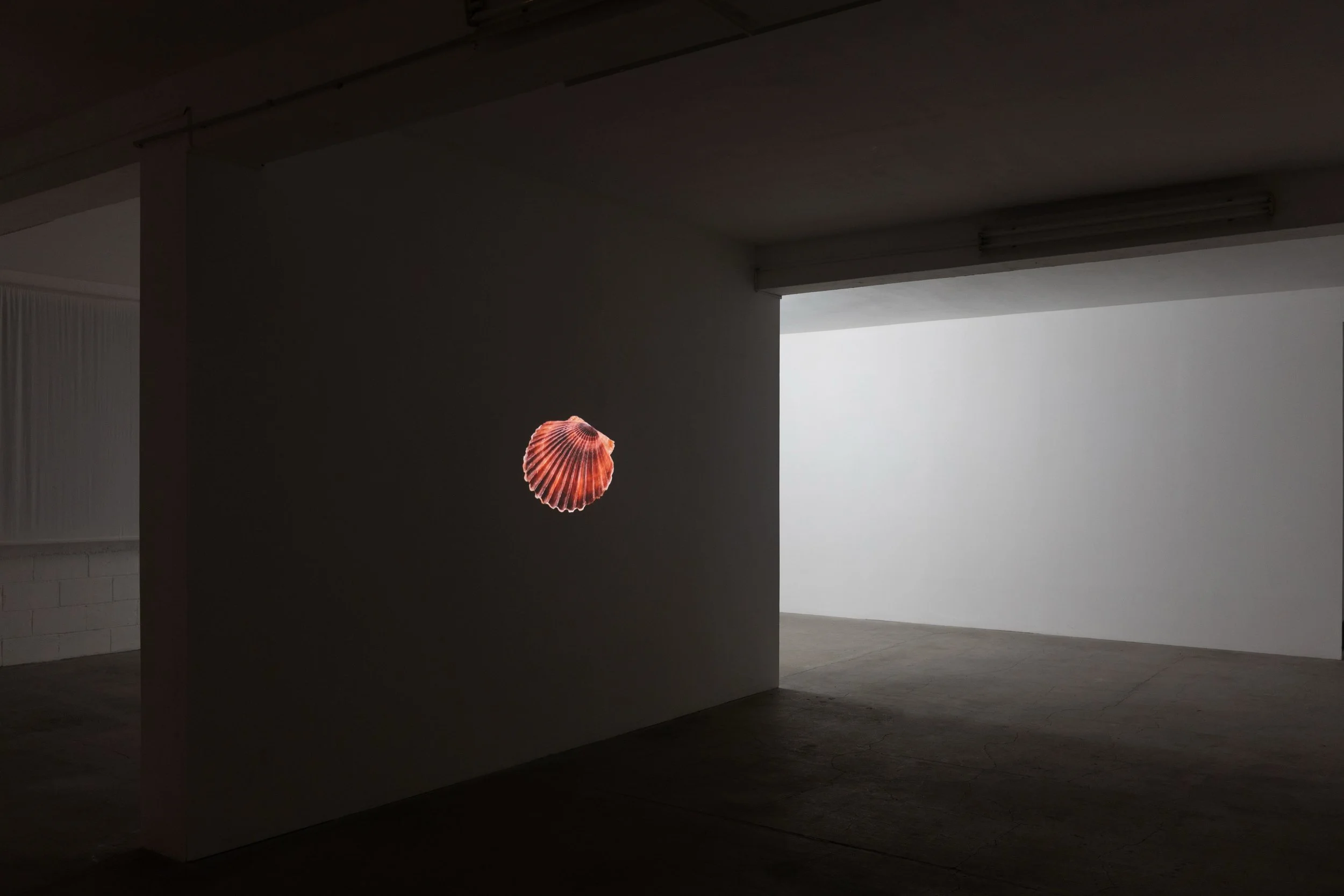 GlamourGrammar, 2025.