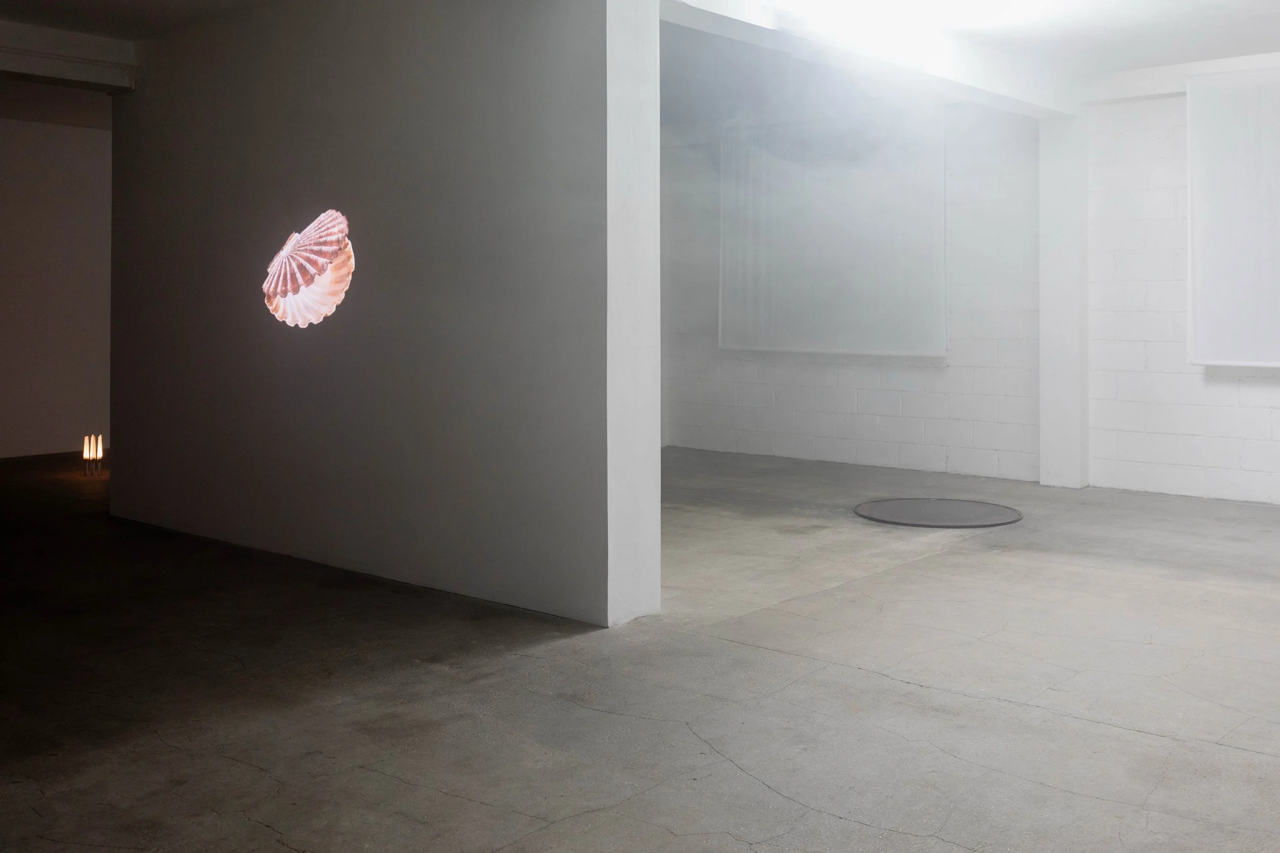 GlamourGrammar and Free Wine, 2025.