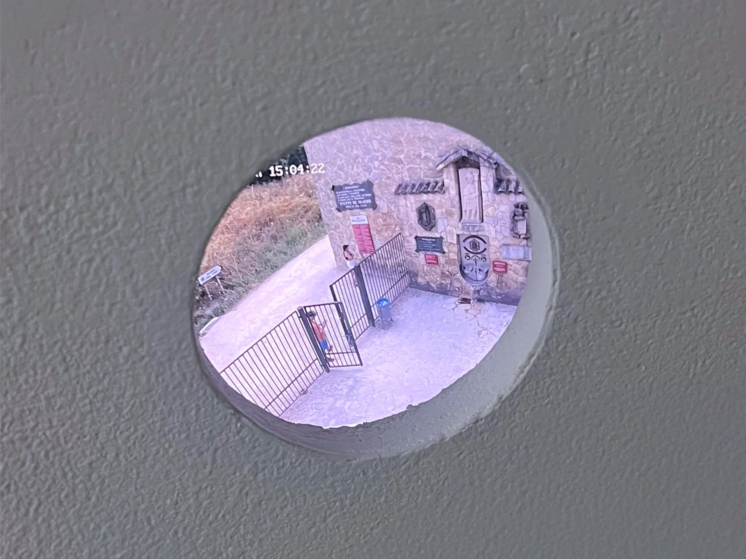 Free Wine (livestream), 2025.