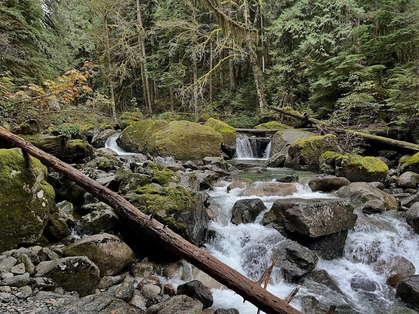 &ldquo;It is almost like when you see a river flowing, it&rsquo;s not the action of the water, you know, the water is just available to the gravitational pull and the water doesn&rsquo;t resist.&rdquo; - @dhyanvimal

From Restoration | workbook | les