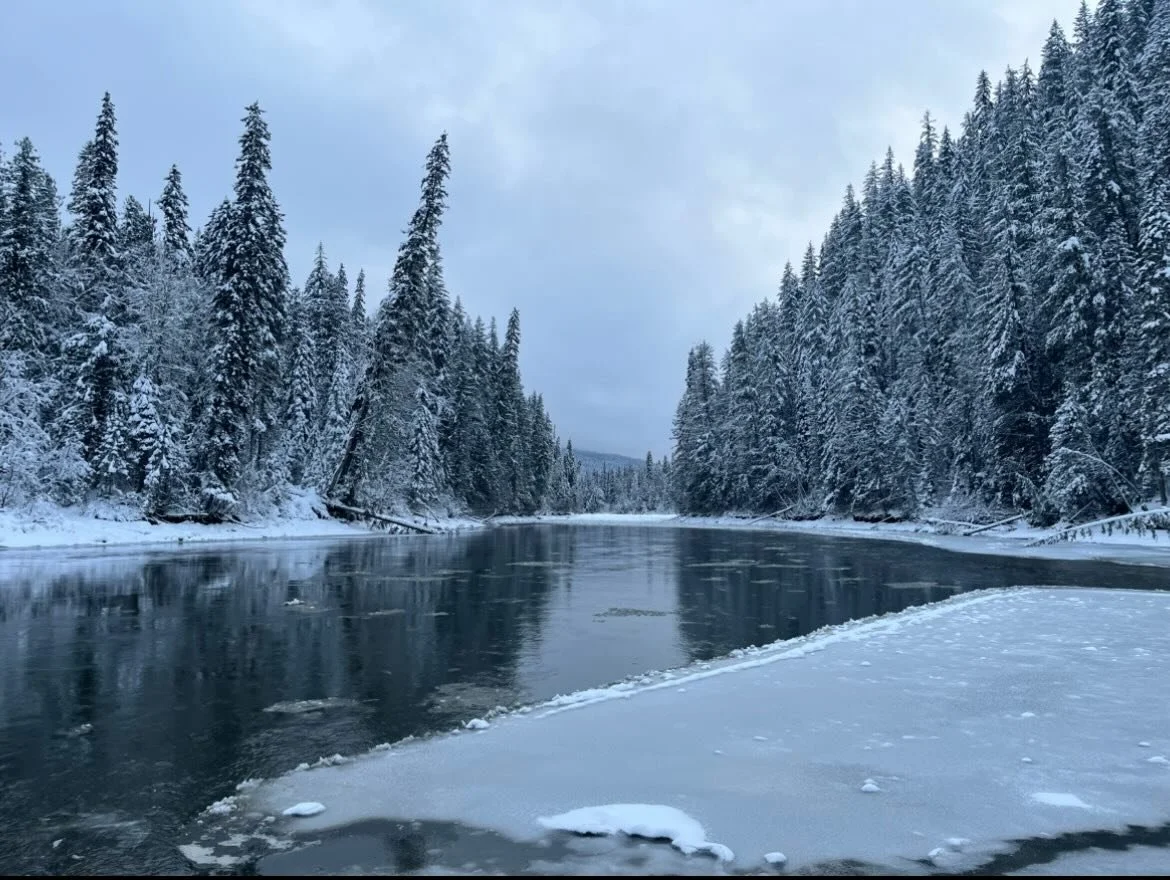 I learnt of the passing of a friend last night. 

I remember someone almost 100 a couple decades ago saying that what is hard about getting older, is your friends and family dying. I took her share as wisdom for my 60s and up. Never did I think this 