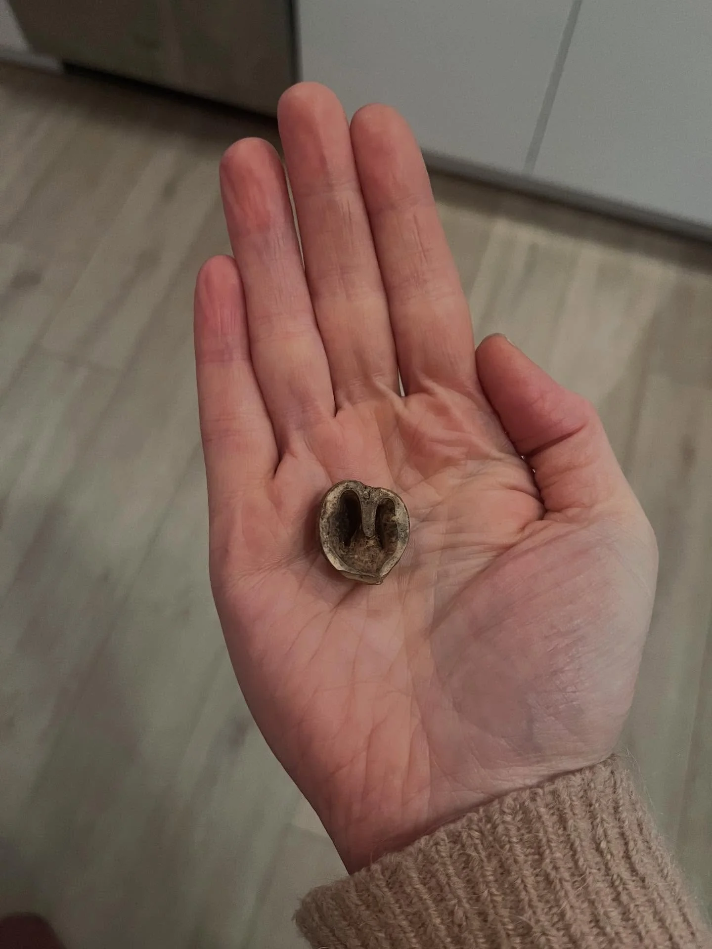 Today in Circle, I guided a birth integration with a woman who, afterward, quietly shared something that stayed with me. She said she had thought it was going to take years to get over this birth. This isn&rsquo;t the first time I&rsquo;ve received t