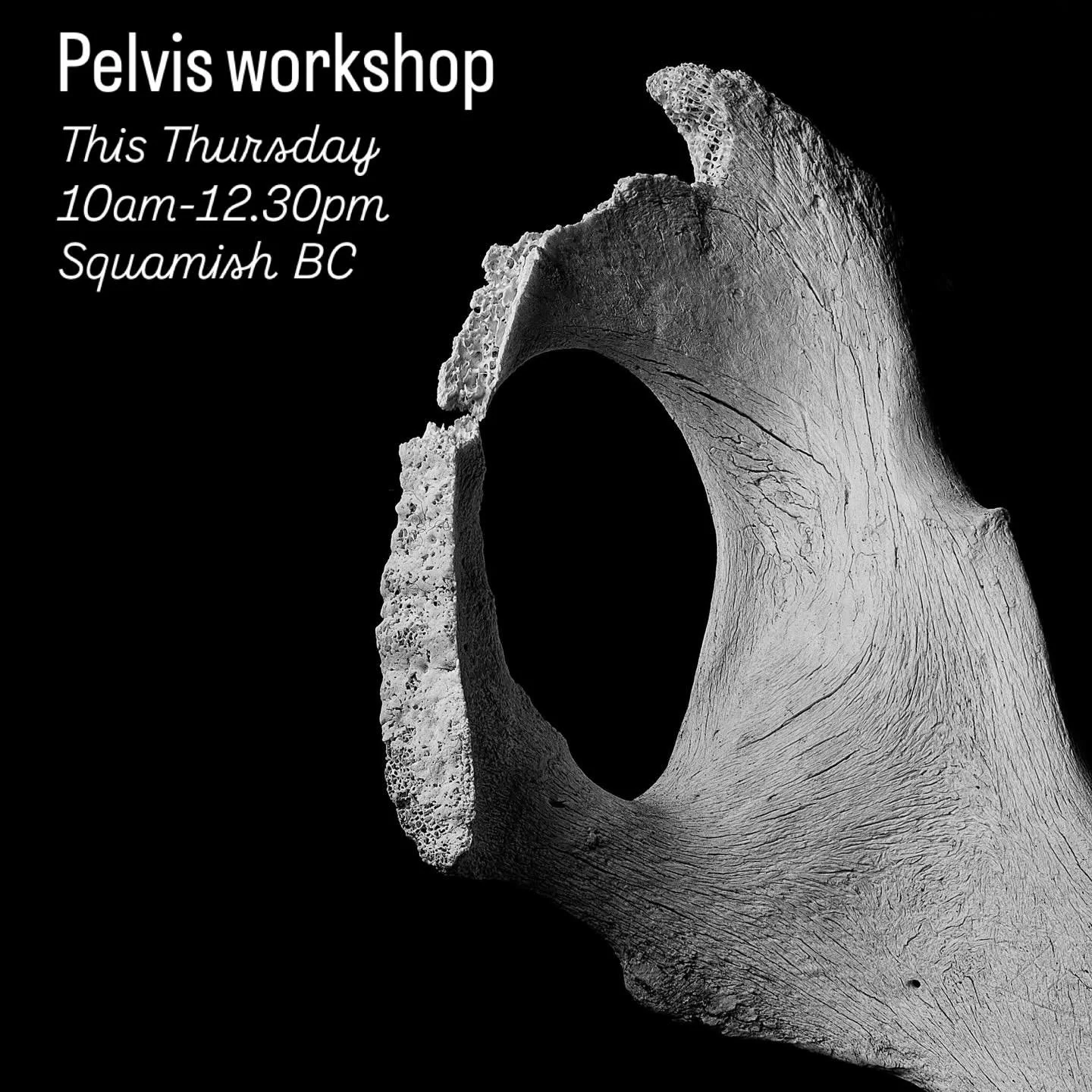 I noticed something after sitting with my pelvis in a few guided sessions (dressed, with most of the work happening through awareness). At first glance, it almost seems boring; the quiet, slow nature of the practice. In the beginning, there&rsquo;s v