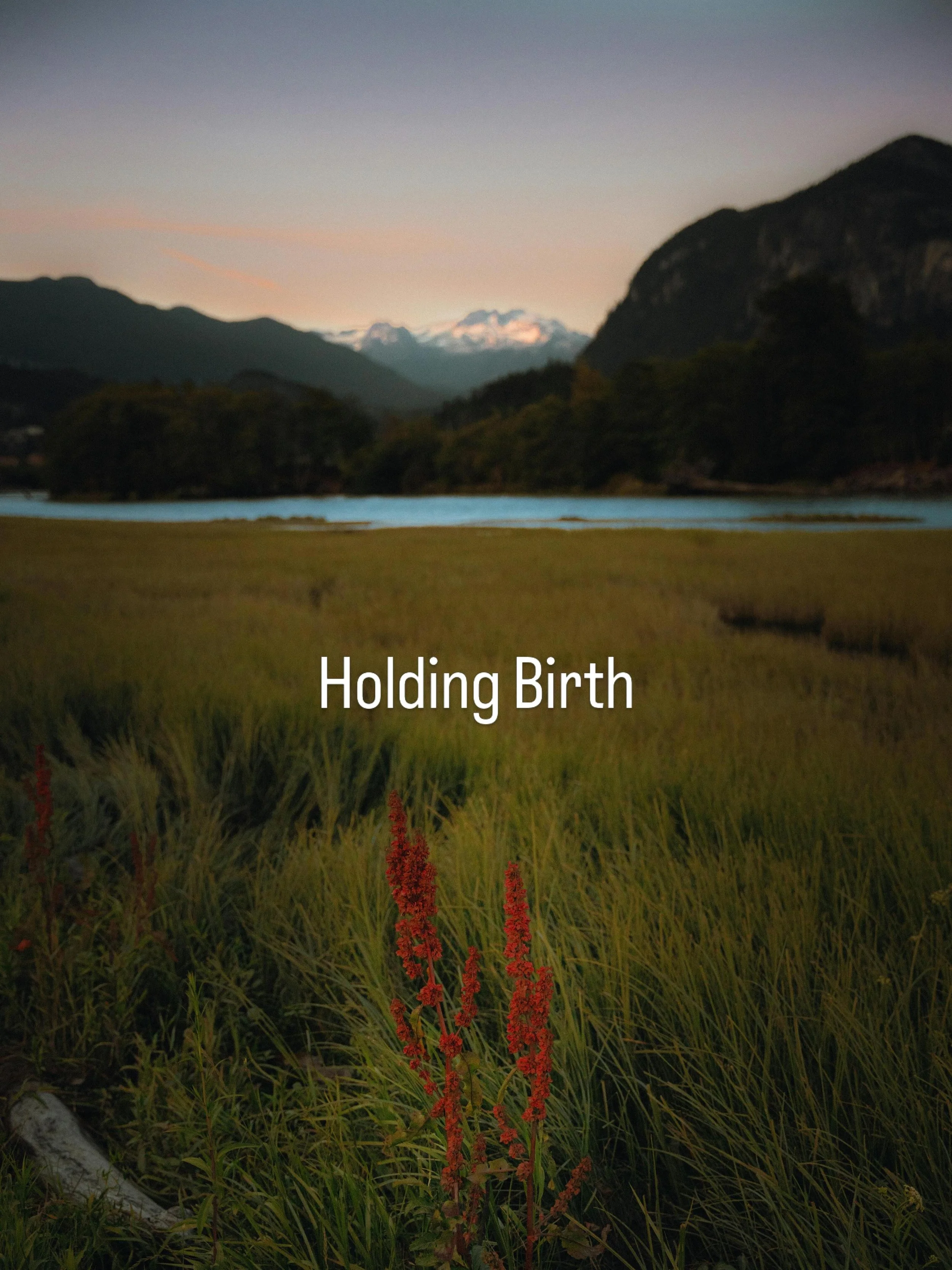 Lately I&rsquo;ve been thinking a lot about how many birth workers are trying so hard to fit into a &ldquo;one size fits all&rdquo; approach.

And honestly&hellip; I understand why.

I think a lot of it comes from two very real fears:
the fear of not