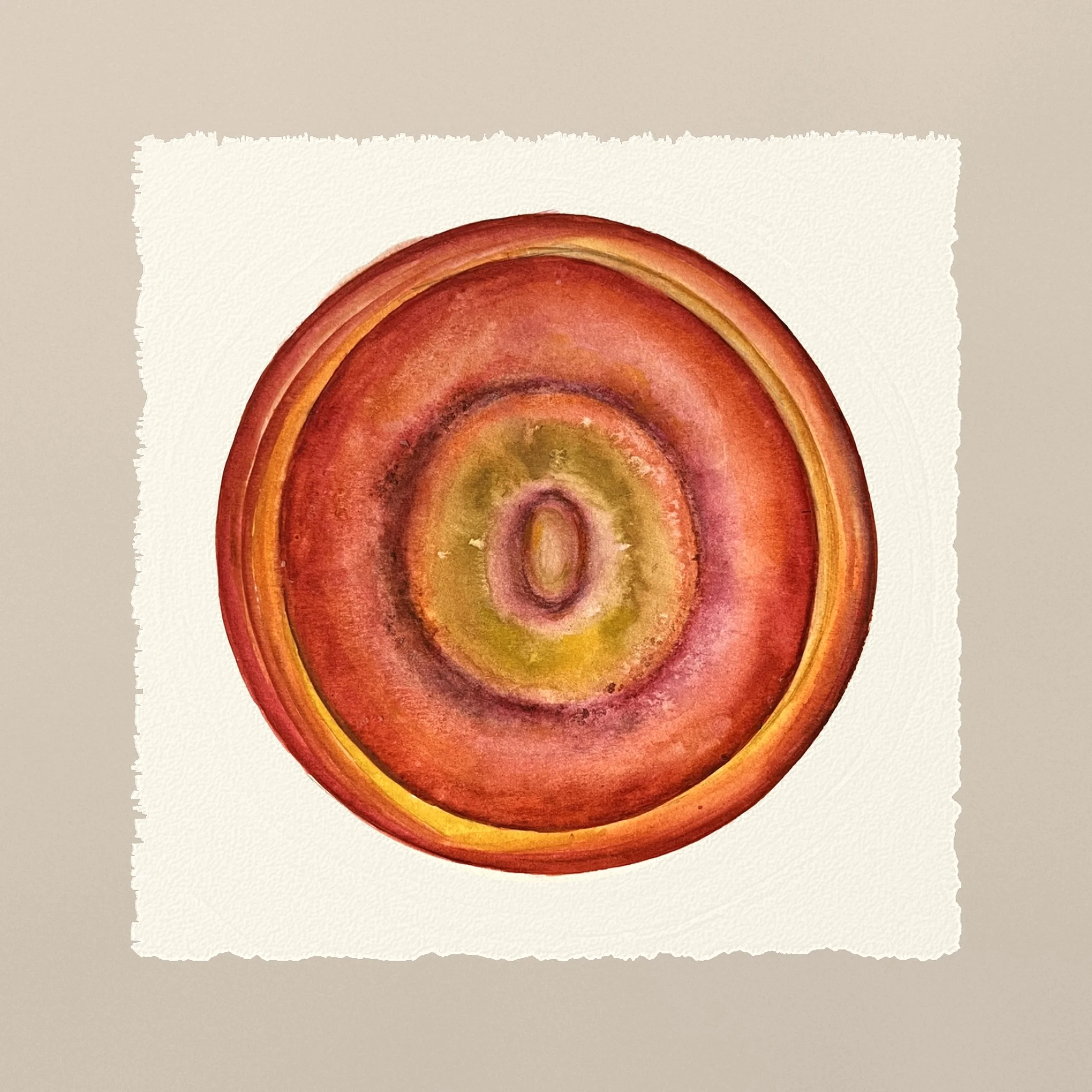 05_Orange_and_gold_tabletop_10x10in_with_0.125in_bleed_300dpi.jpg