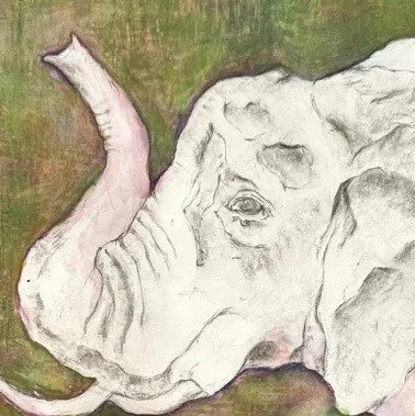 square elephant.jpeg