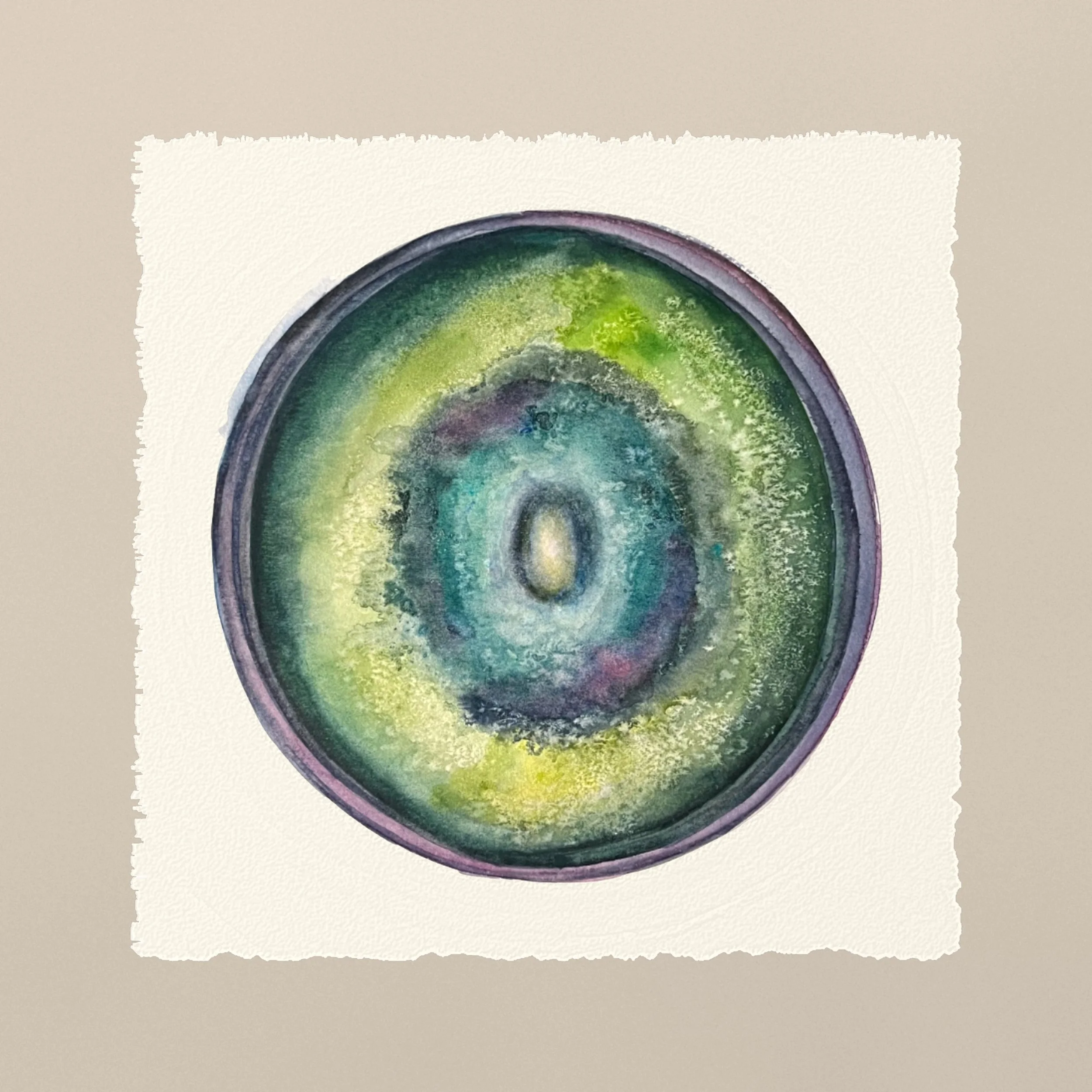 08_Green_and_violet_tabletop_10x10in_with_0.125in_bleed_300dpi.jpg