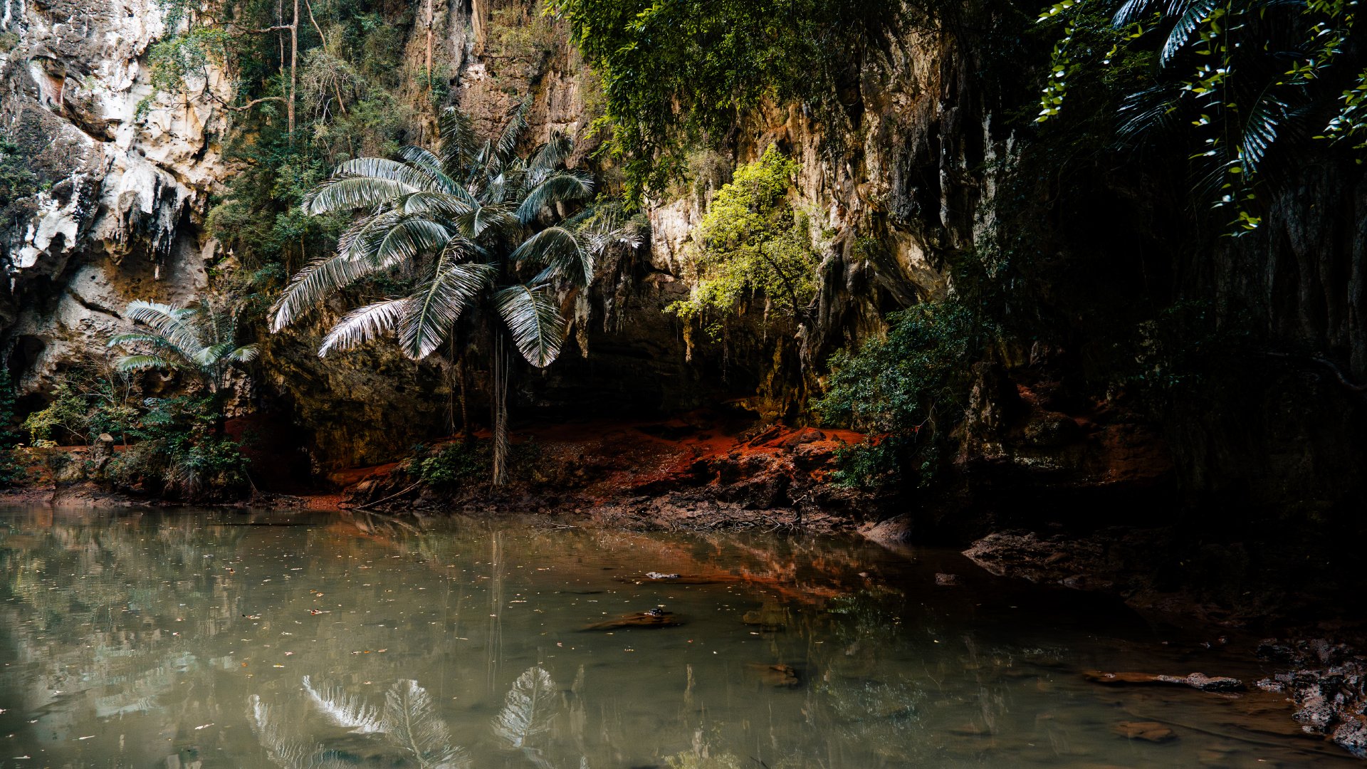 How to Find the Emerald Lagoon in Railay (Trail, Difficulty &amp; What to Expect)