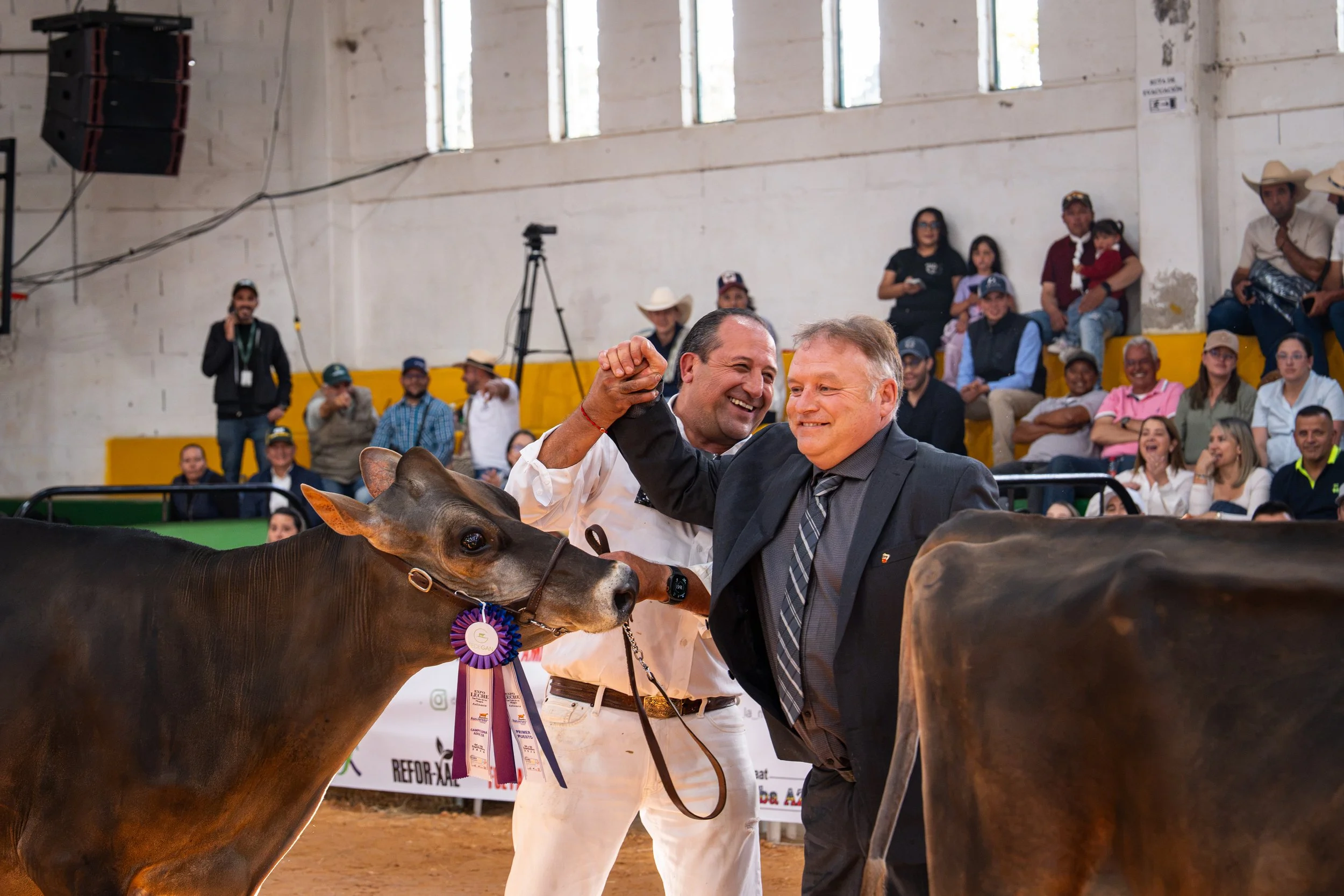 Two men pose with prize-winning cattle at a livestock show as spectators watch from the stands.